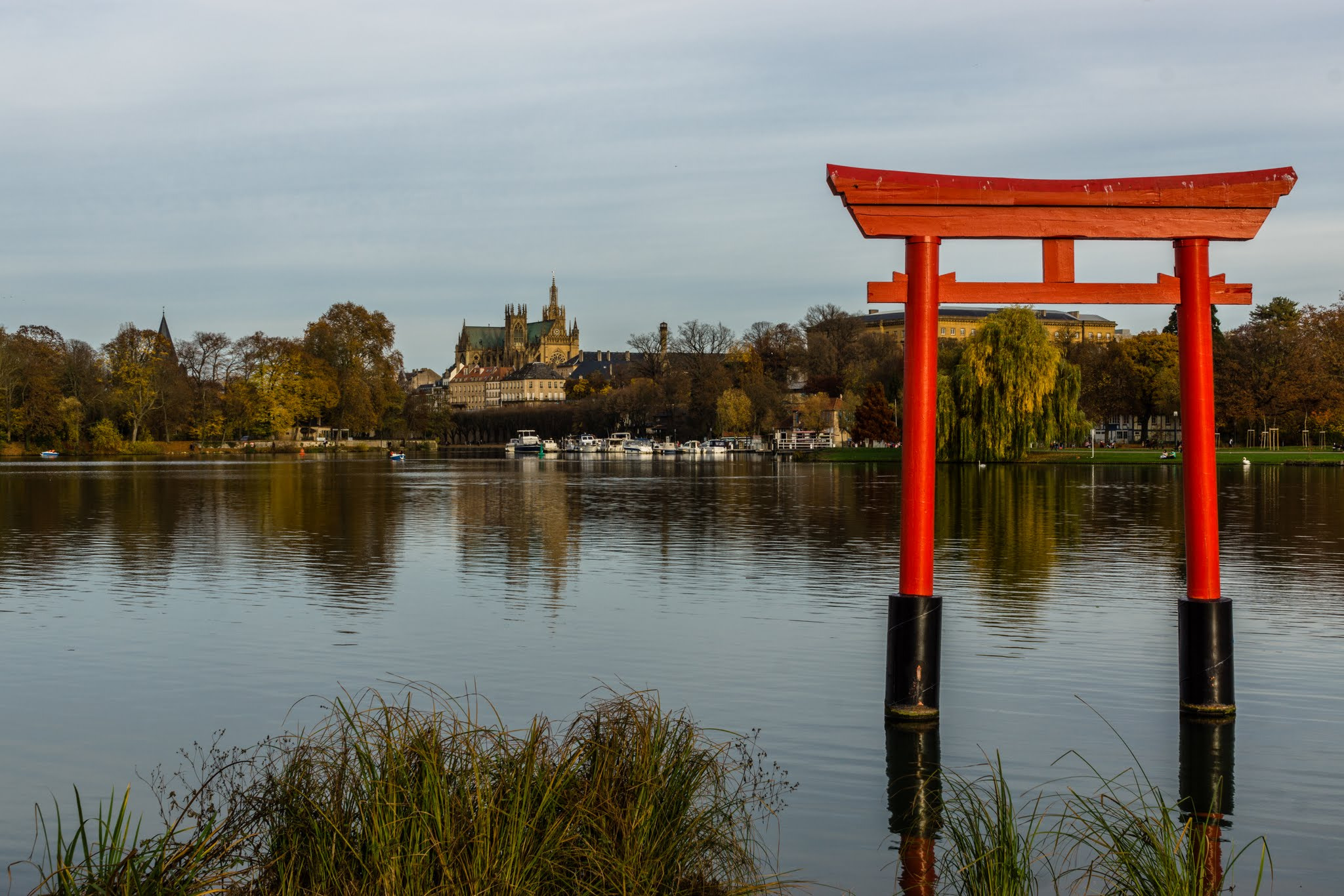 Sony SLT-A77 + 24-70mm F2.8 sample photo. Metz photography