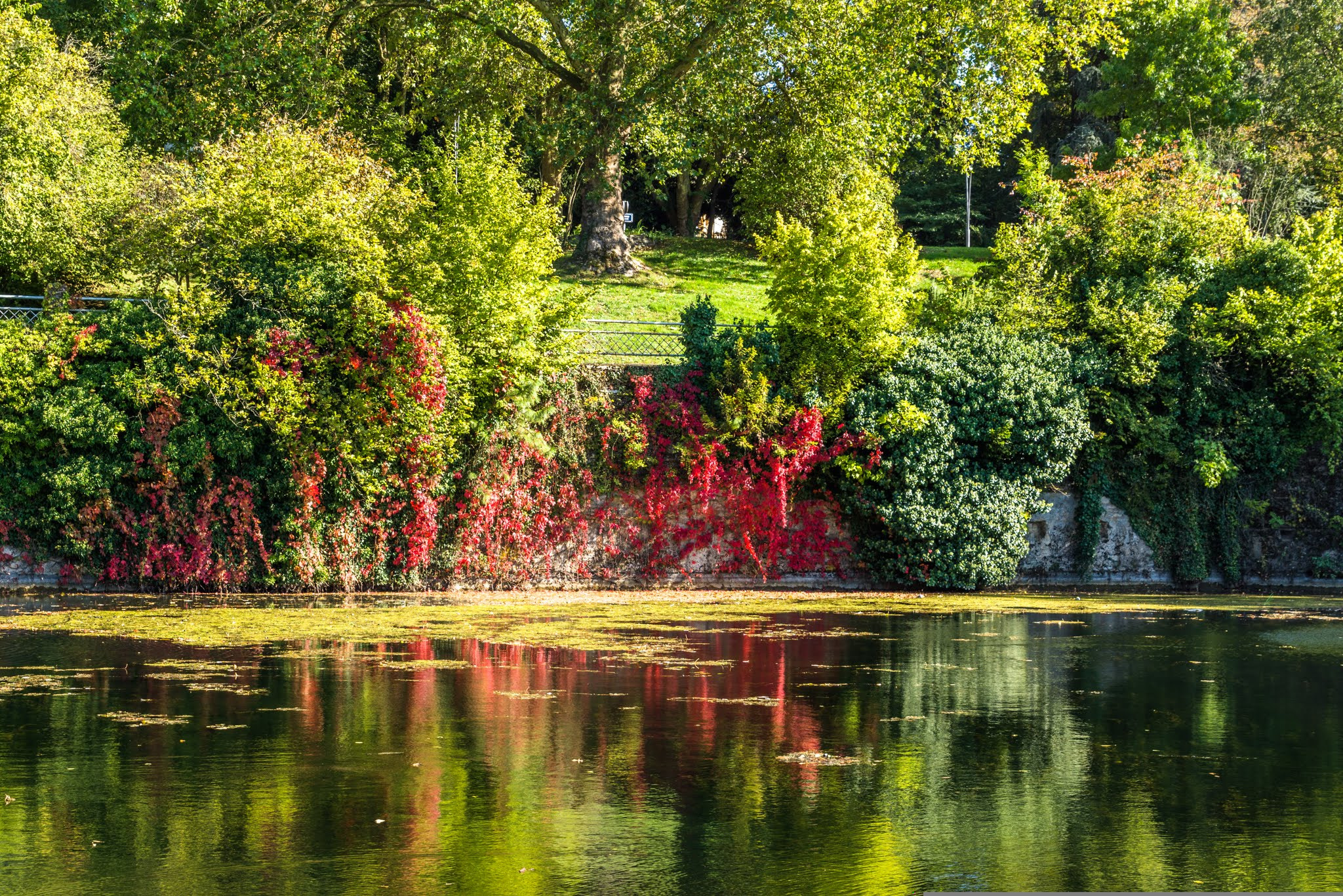 Sony SLT-A77 + 24-70mm F2.8 sample photo. Autumn in metz photography