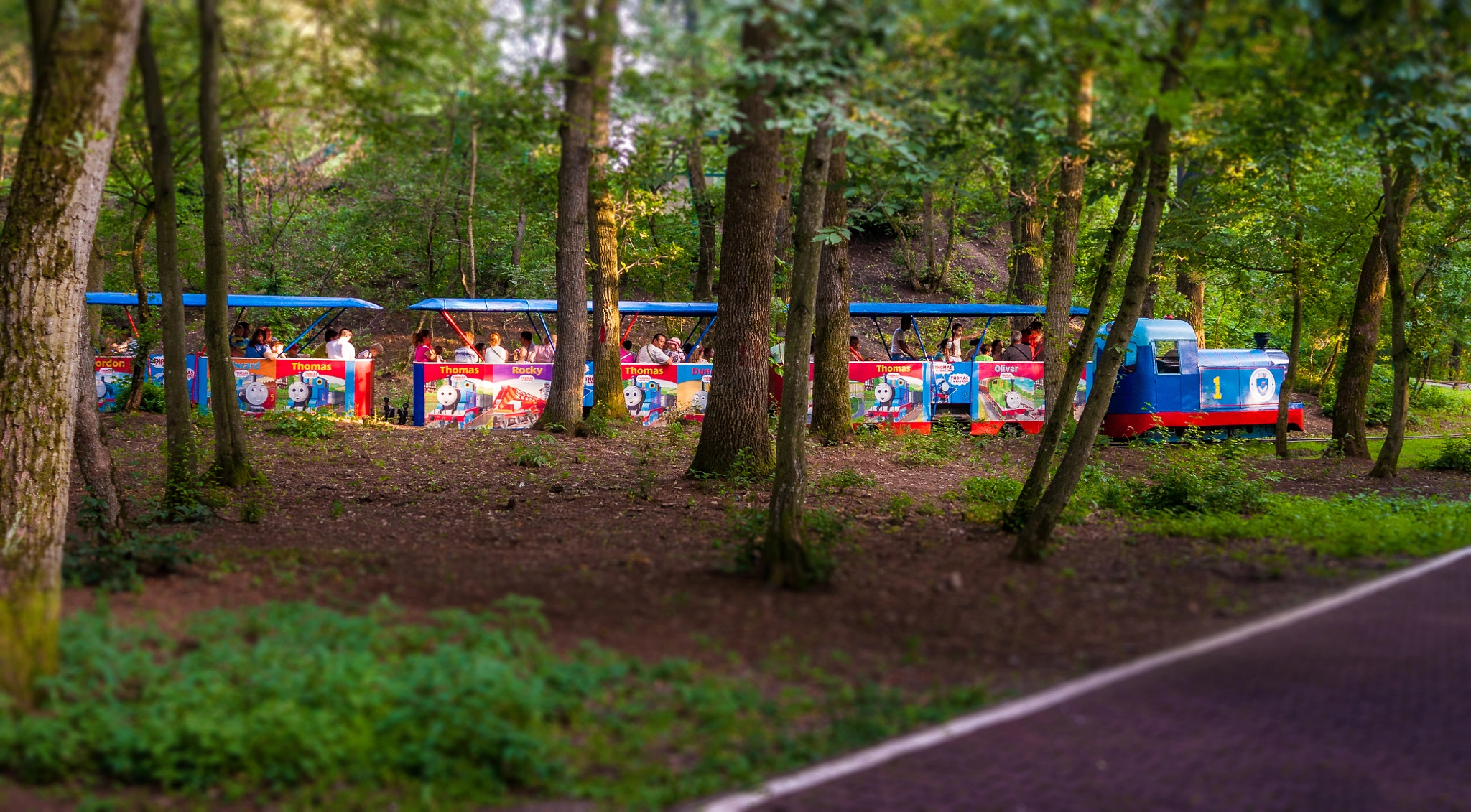 AF Zoom-Nikkor 28-100mm f/3.5-5.6G sample photo. Small train through the forest photography