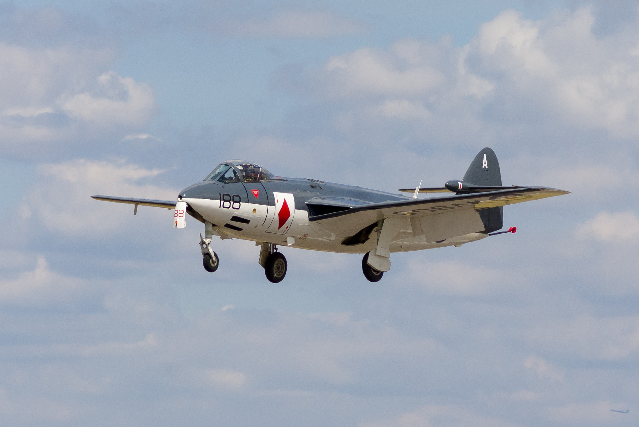 Sony Alpha DSLR-A300 sample photo. Hawker sea hawk photography
