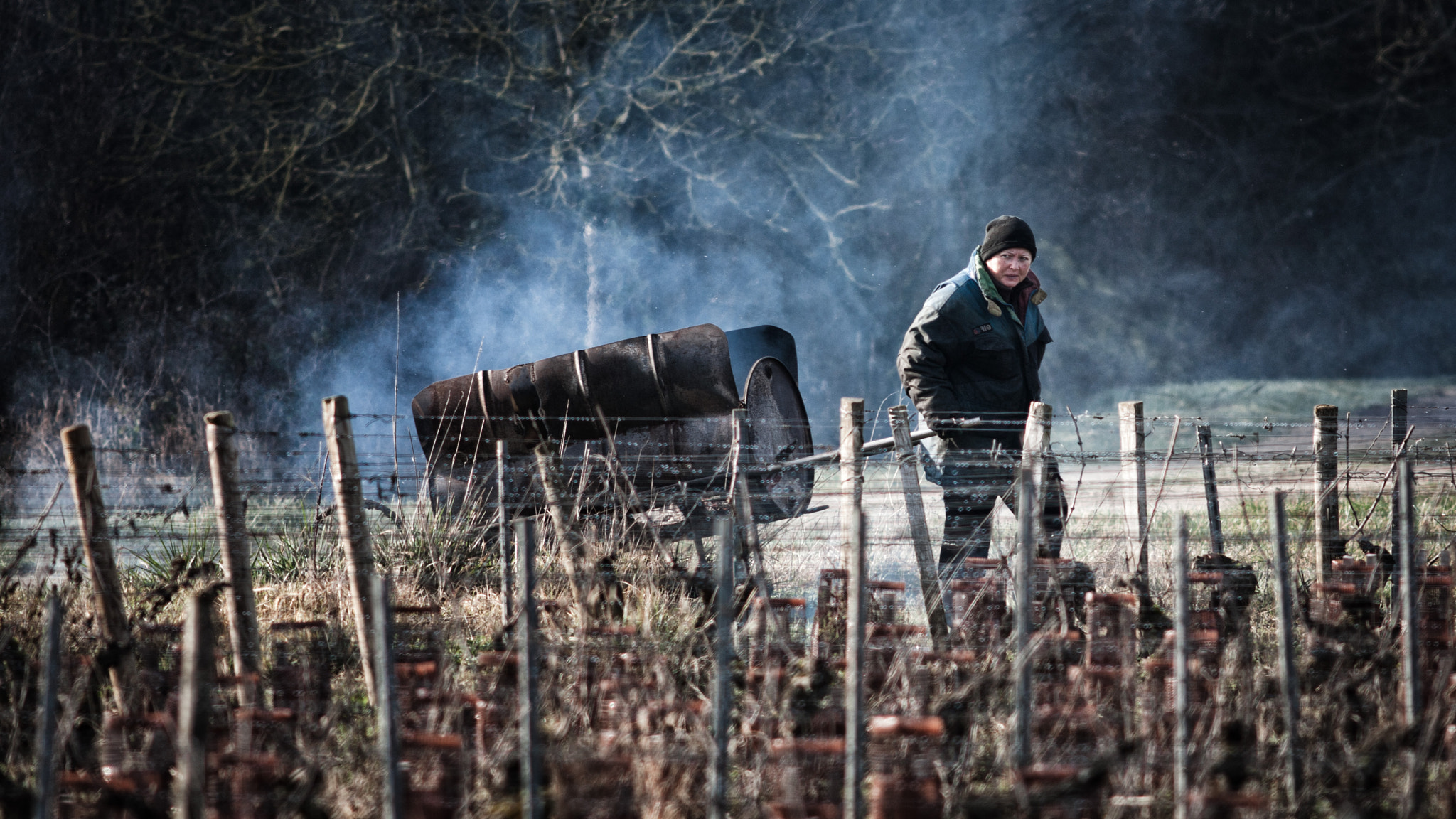 Canon EOS 5D + Canon EF 200mm F2.8L II USM sample photo. La vigne l'hiver photography