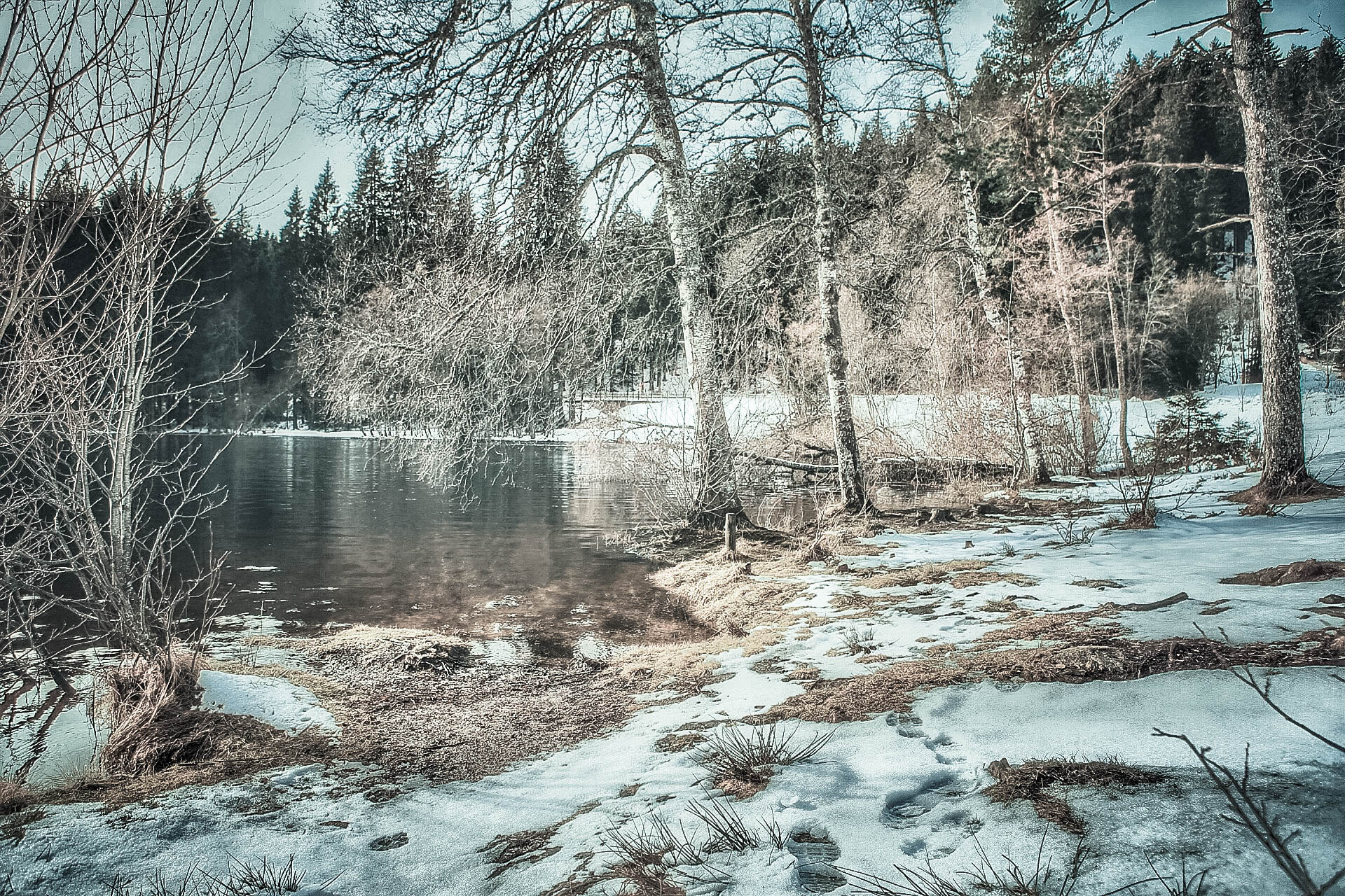 Canon EOS 6D + Canon EF 24-70mm F2.8L USM sample photo. Winter dream photography