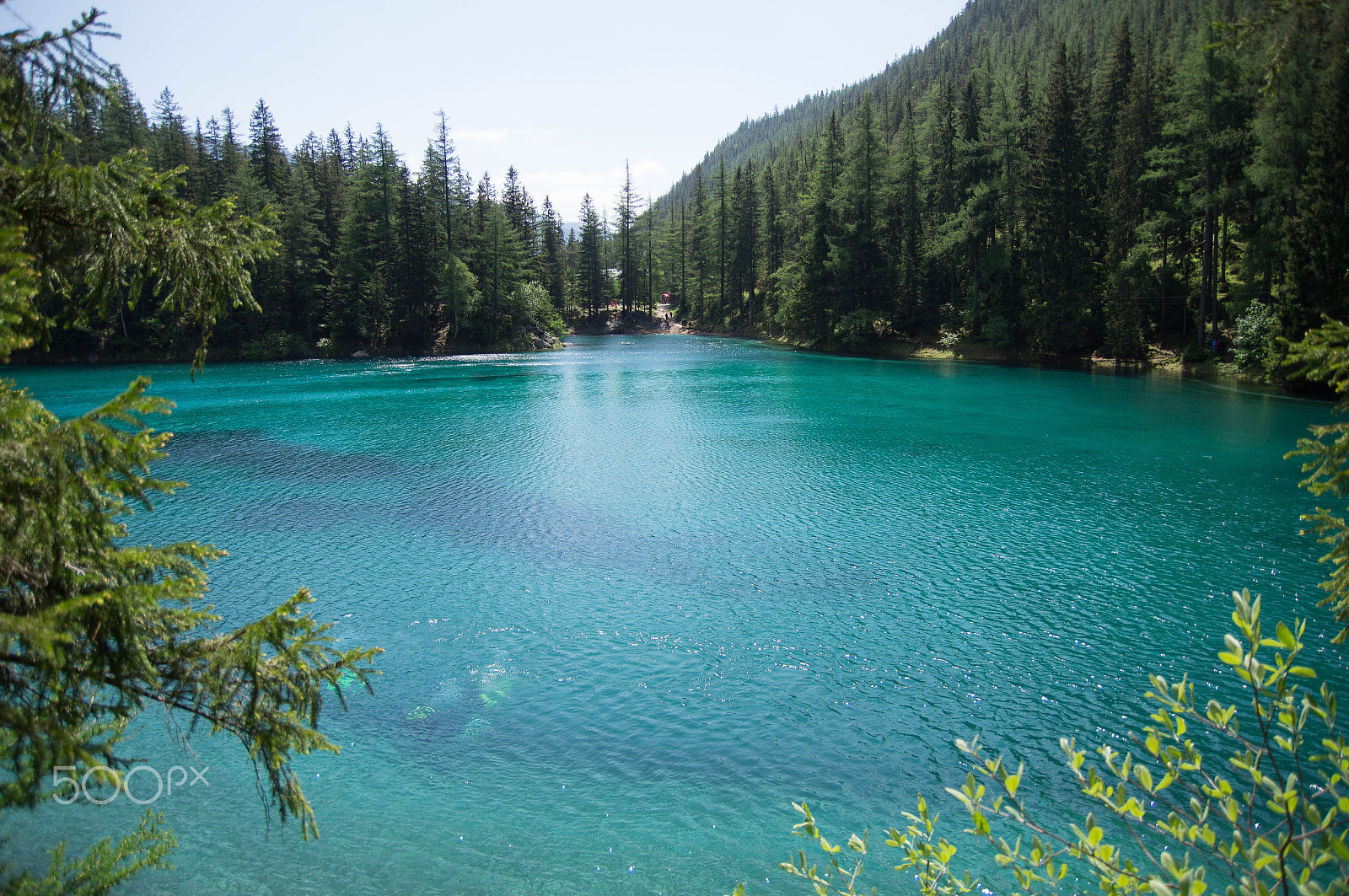 Sony SLT-A55 (SLT-A55V) sample photo. Green lake photography