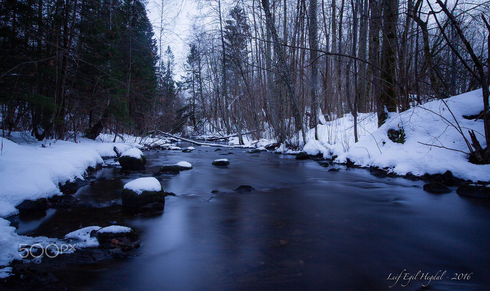Canon EOS-1D Mark IV sample photo. In the winter forrest photography