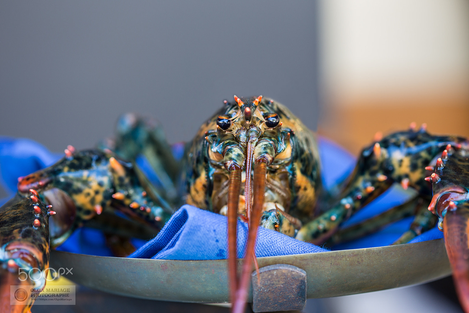 Canon EOS 6D + Canon EF 100mm F2.8 Macro USM sample photo. Maison e portes photography