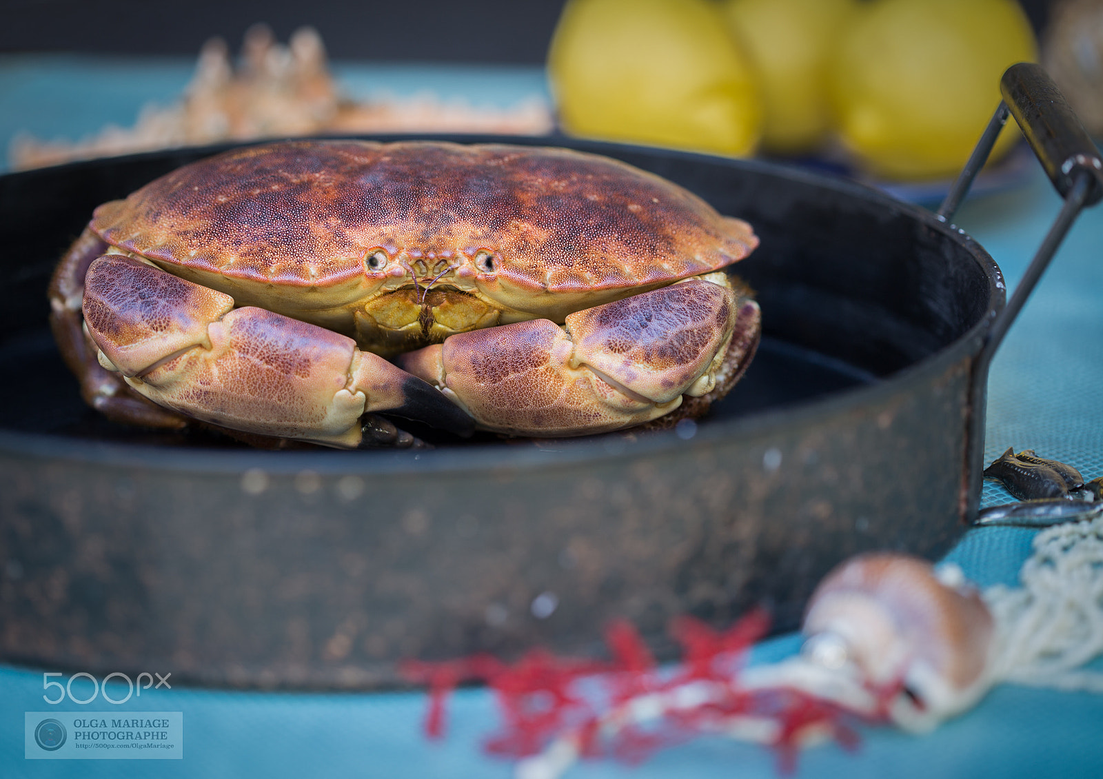 Canon EOS 6D + Canon EF 100mm F2.8 Macro USM sample photo. Maison e portes photography
