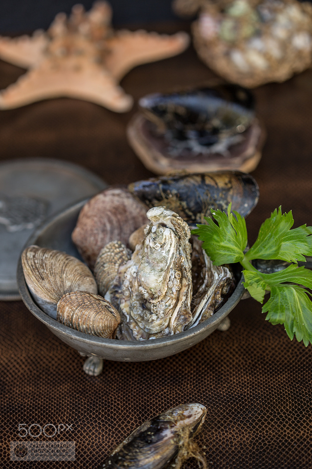 Canon EOS 6D + Canon EF 100mm F2.8 Macro USM sample photo. Maison e portes photography