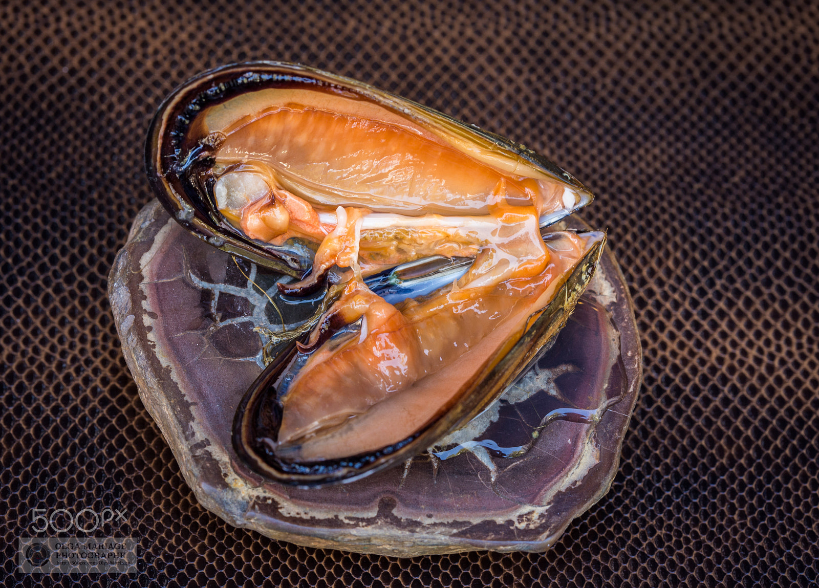 Canon EOS 6D + Canon EF 100mm F2.8 Macro USM sample photo. Maison e portes photography