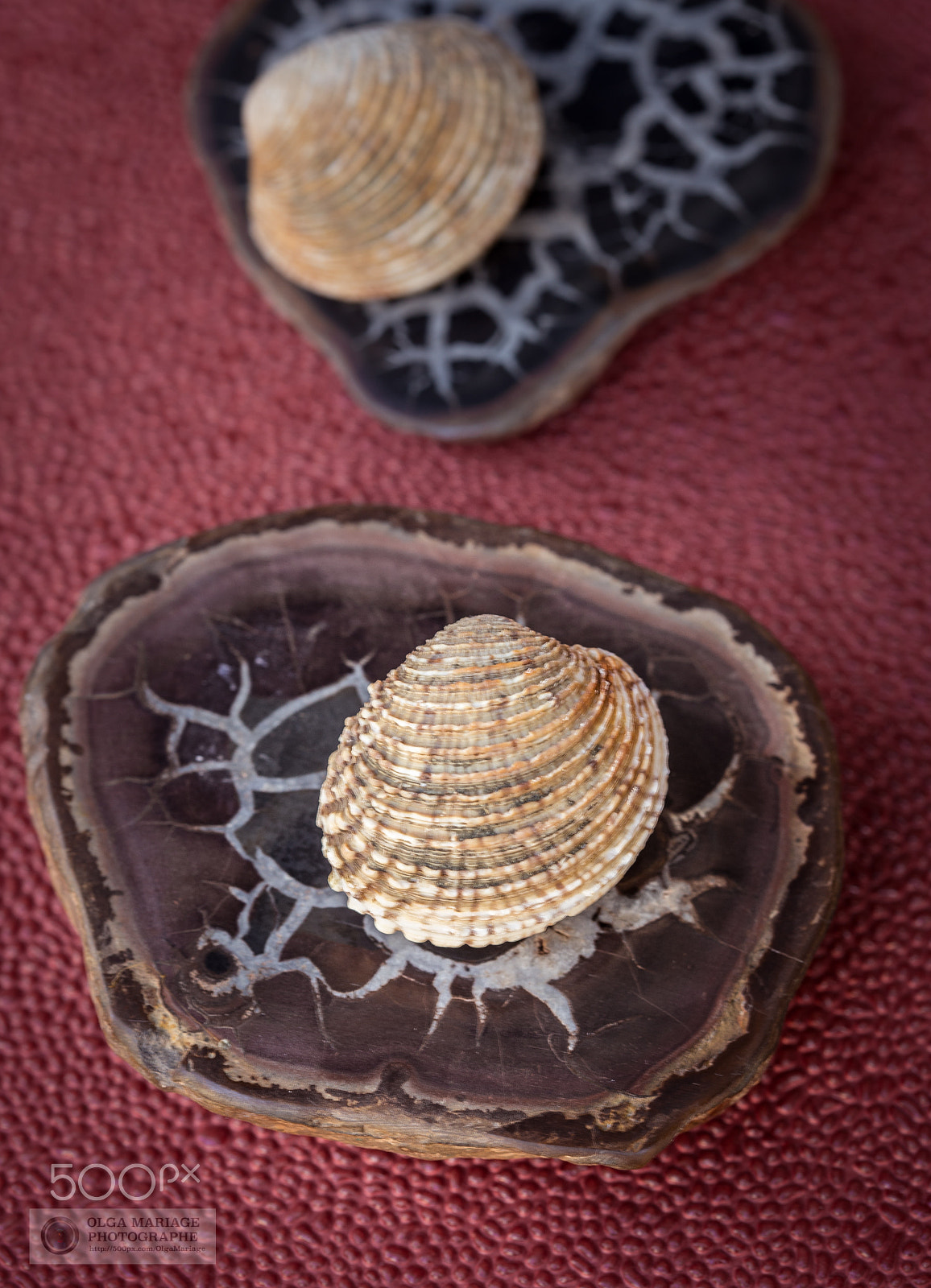 Canon EOS 6D + Canon EF 100mm F2.8 Macro USM sample photo. Maison e portes photography