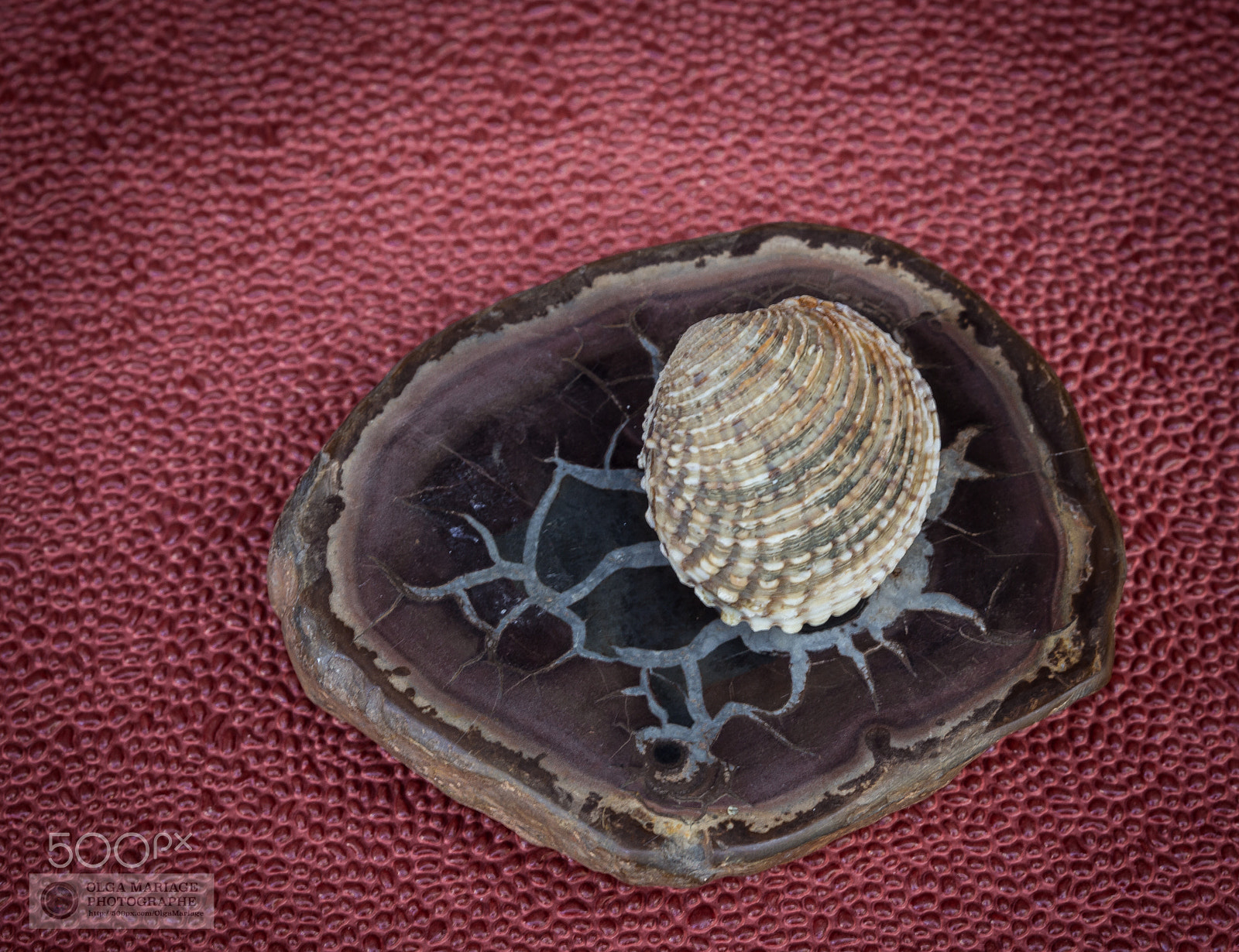 Canon EOS 6D + Canon EF 100mm F2.8 Macro USM sample photo. Maison e portes photography