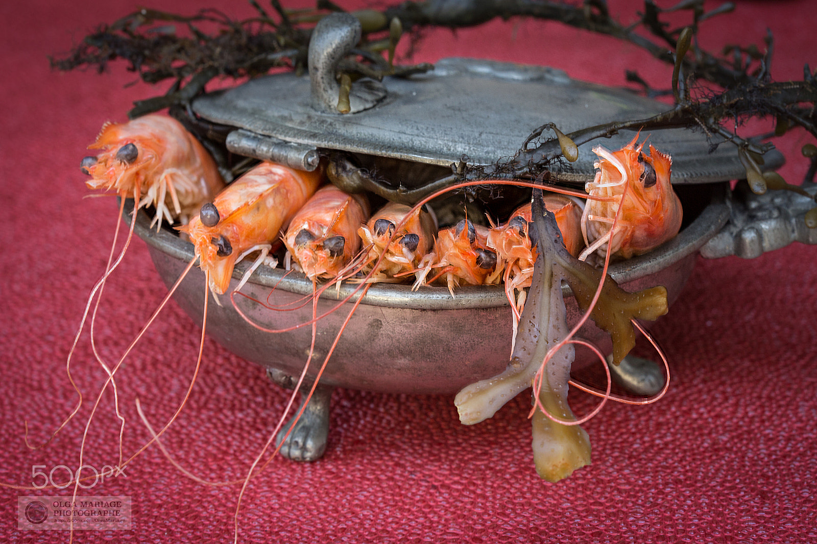 Canon EOS 6D + Canon EF 100mm F2.8 Macro USM sample photo. Maison e portes photography