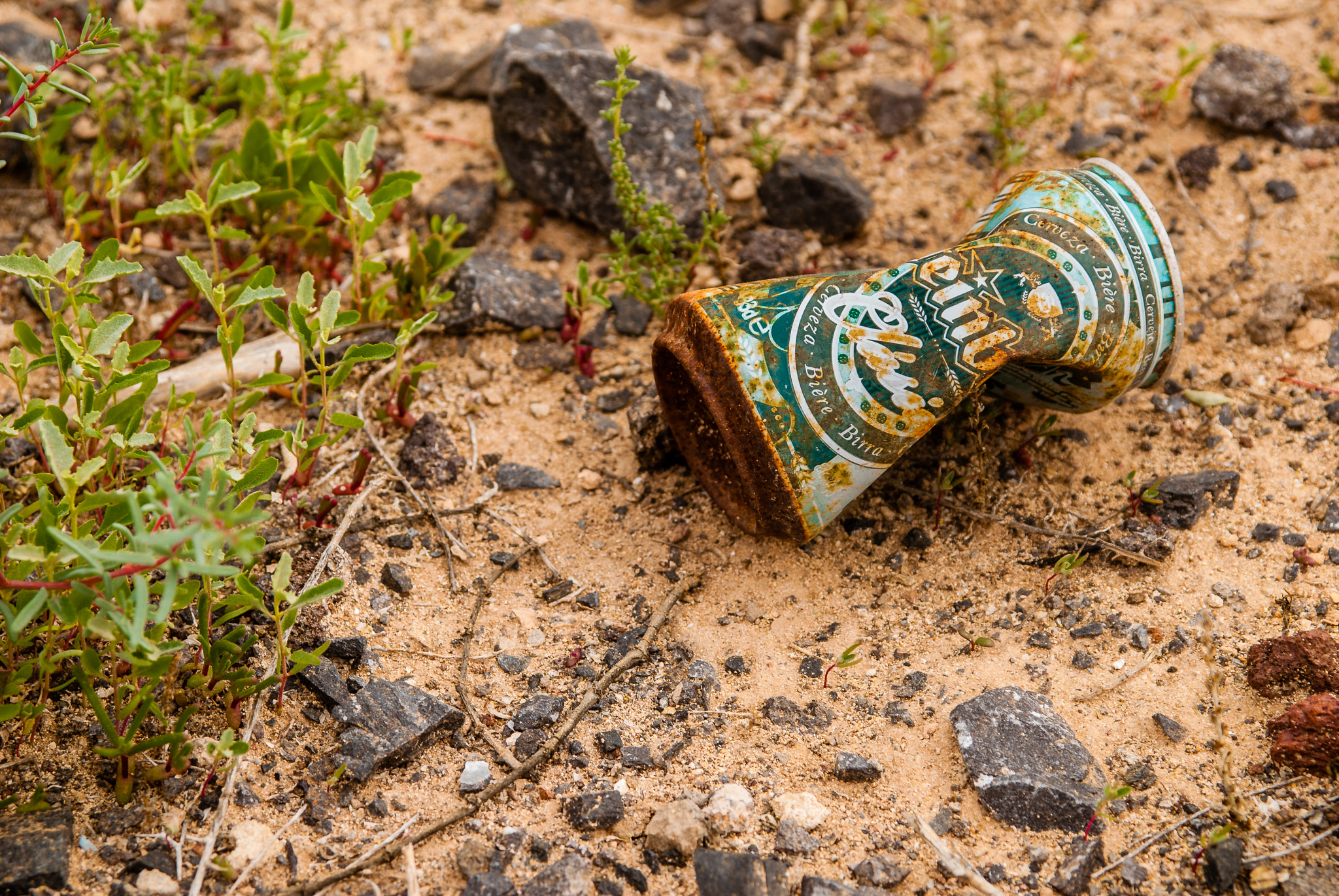 Sigma 17-70mm F2.8-4 DC Macro OS HSM sample photo. Rusty can photography