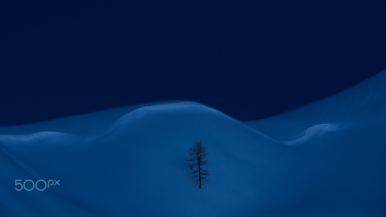 Sony Alpha DSLR-A850 + Minolta/Sony AF 70-200mm F2.8 G sample photo. Deep blue hour photography