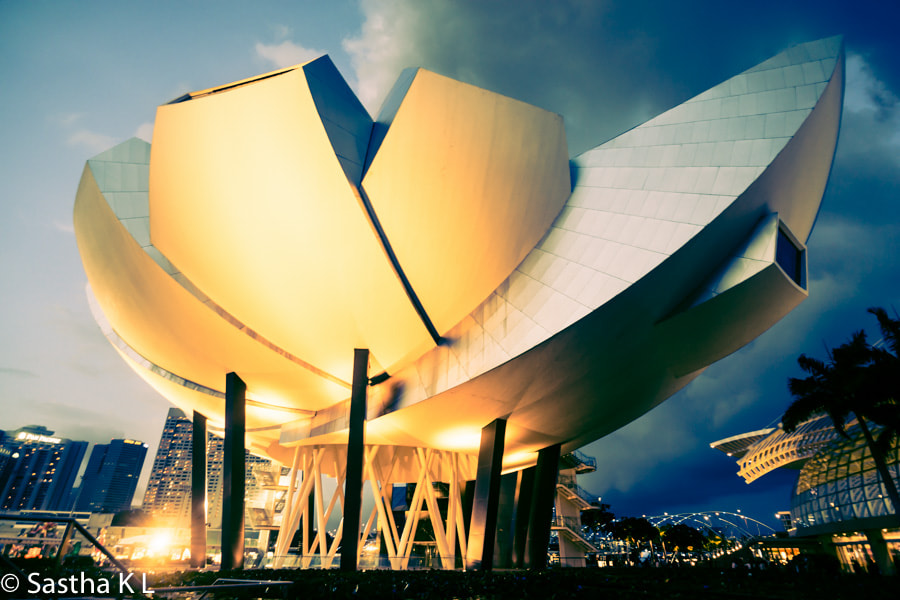 Sony Alpha NEX-7 + ZEISS Touit 12mm F2.8 sample photo. Arts science center, singapore photography