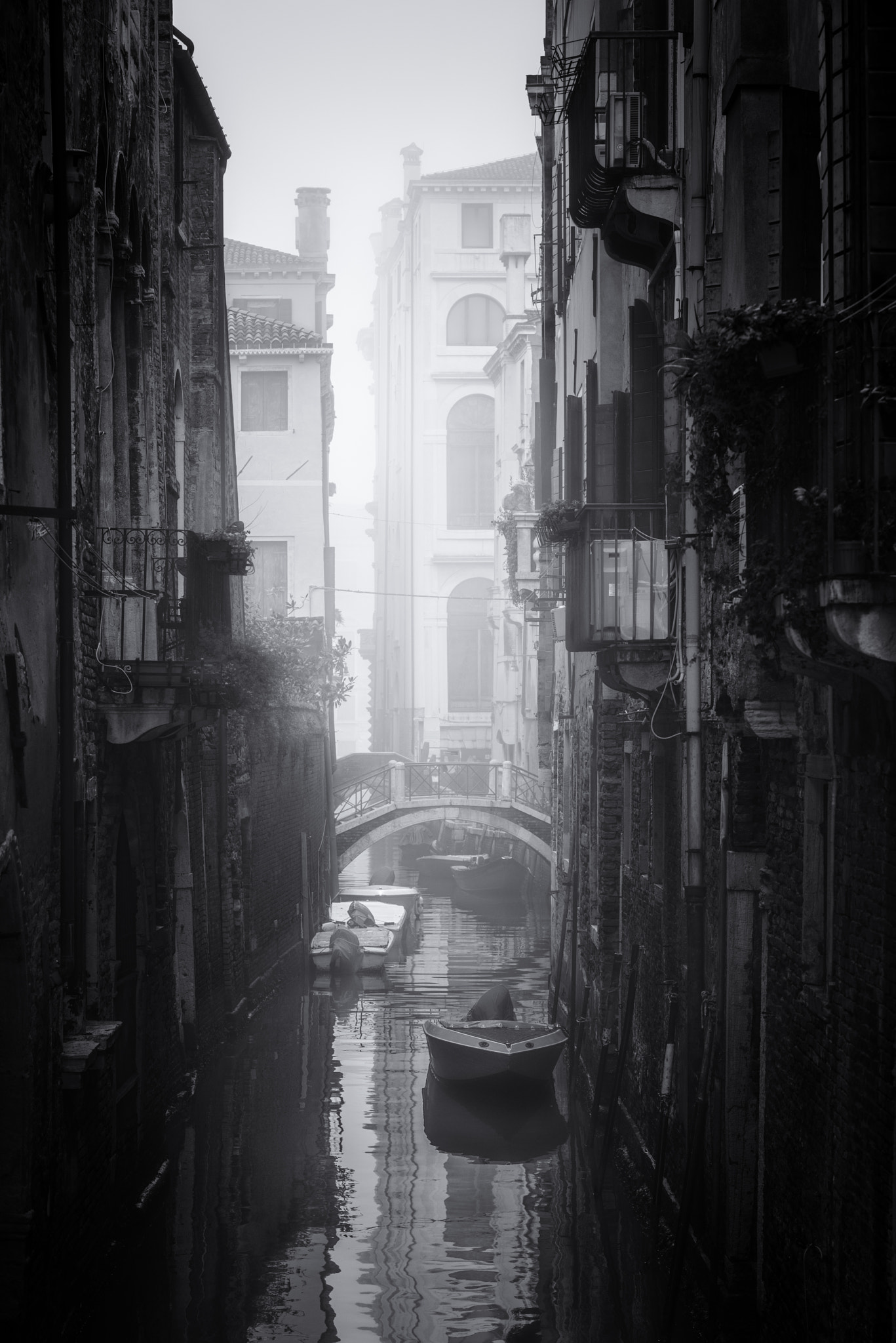 AF Nikkor 85mm f/1.8 sample photo. Mist in venice photography