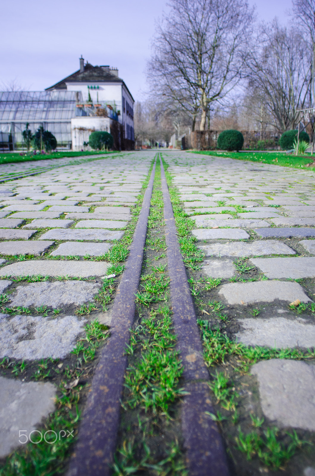 Nikon D7000 sample photo. Parc de bercy tracks in the cobblestones photography