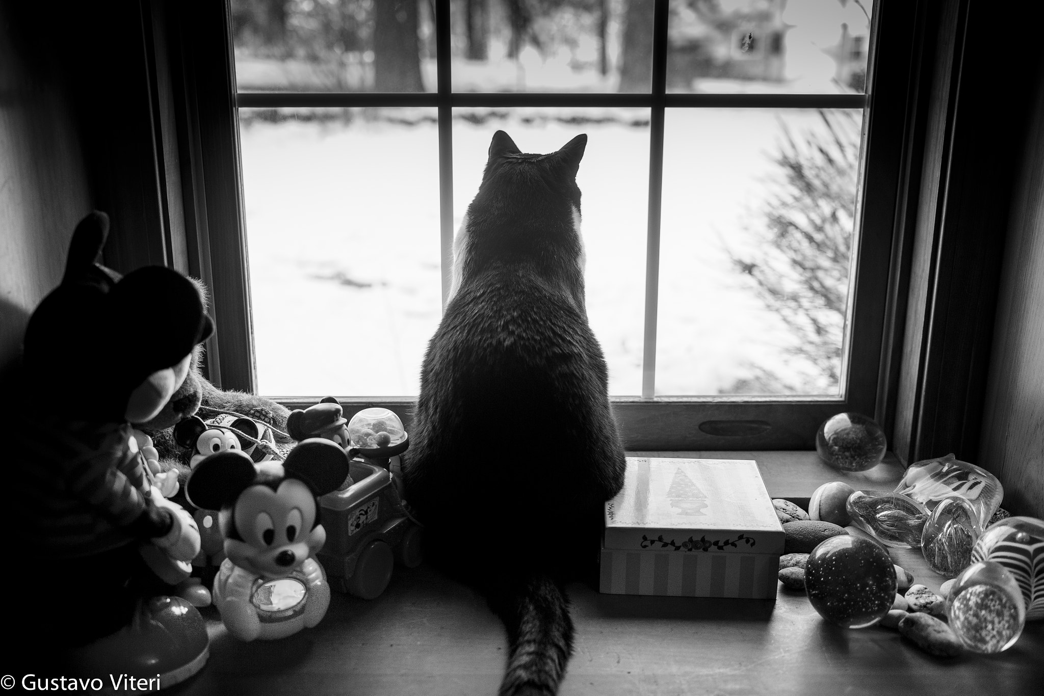 Sigma 18-35mm f/1.8 DC HSM sample photo