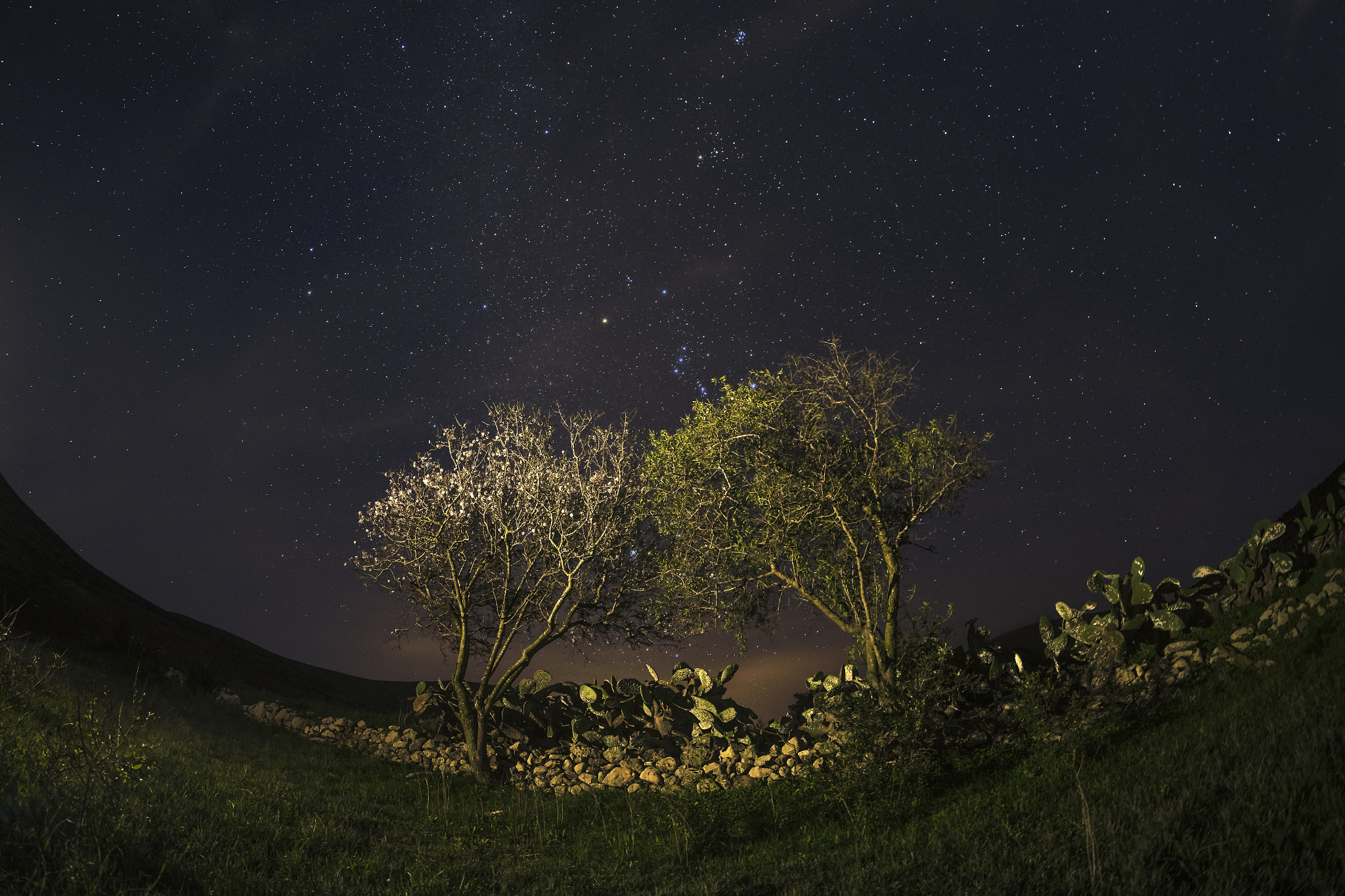 Samyang 12mm F2.8 ED AS NCS Fisheye sample photo. Together photography