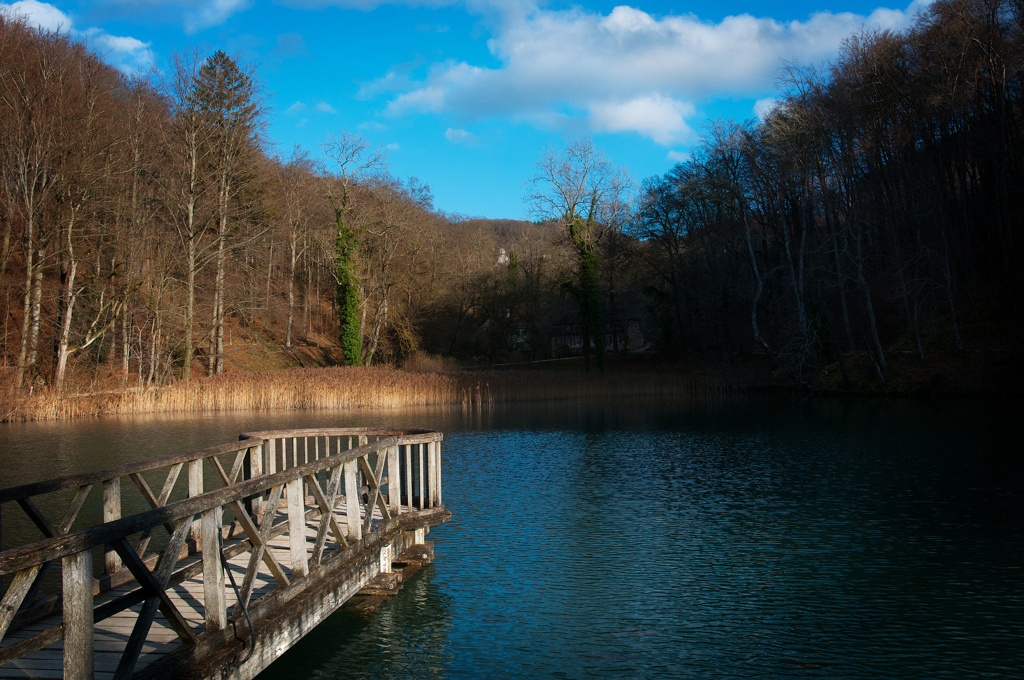 Nikon D300S + Nikon AF-S Nikkor 20mm F1.8G ED sample photo. Ermitage photography