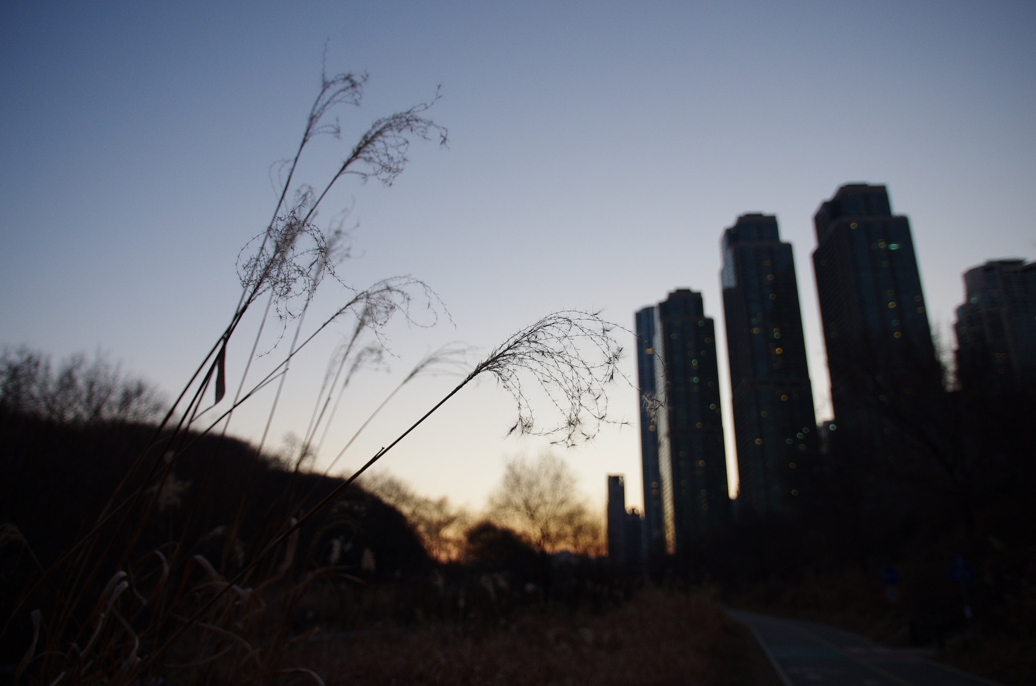 Pentax smc DA 15mm F4 ED AL Limited sample photo. Sunset, seoul photography