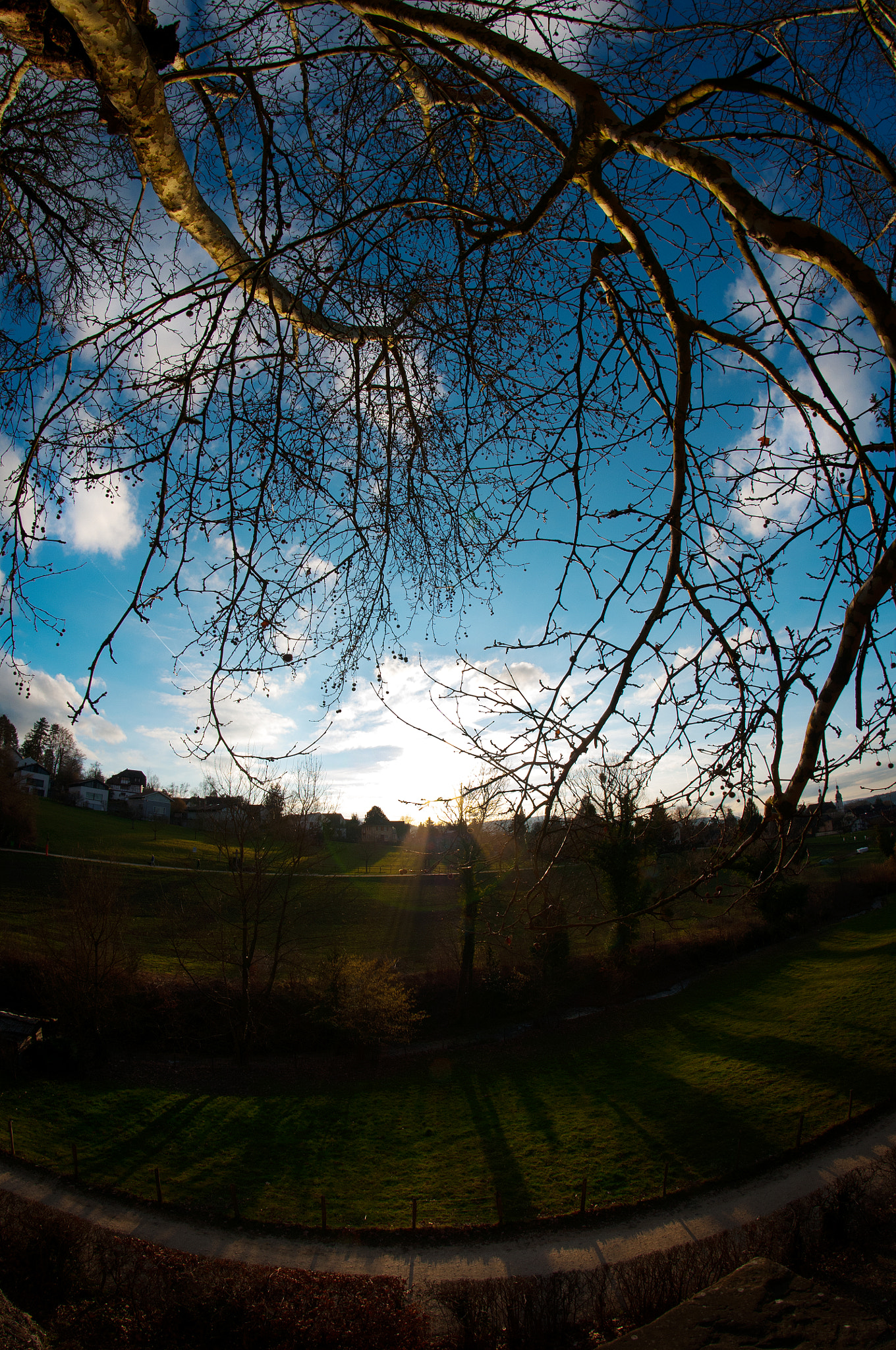 Nikon D300S + Samyang 8mm F3.5 Aspherical IF MC Fisheye sample photo. Sunshine photography