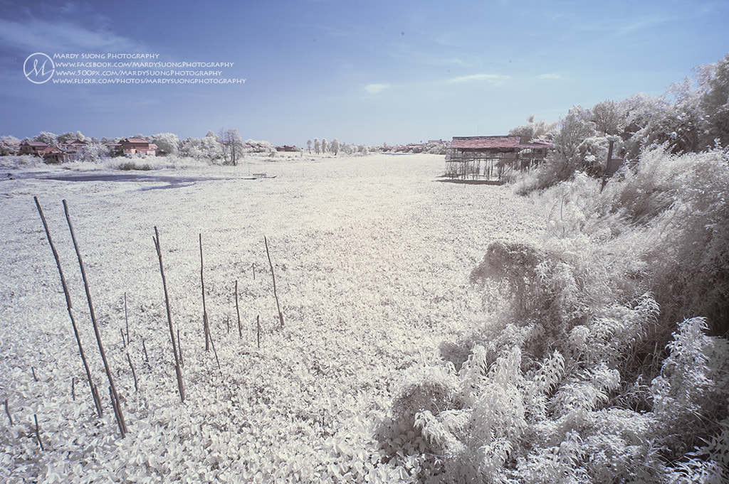 Nikon D70 sample photo. Over the river! (ក្រុងភ្នំពេញ) photography