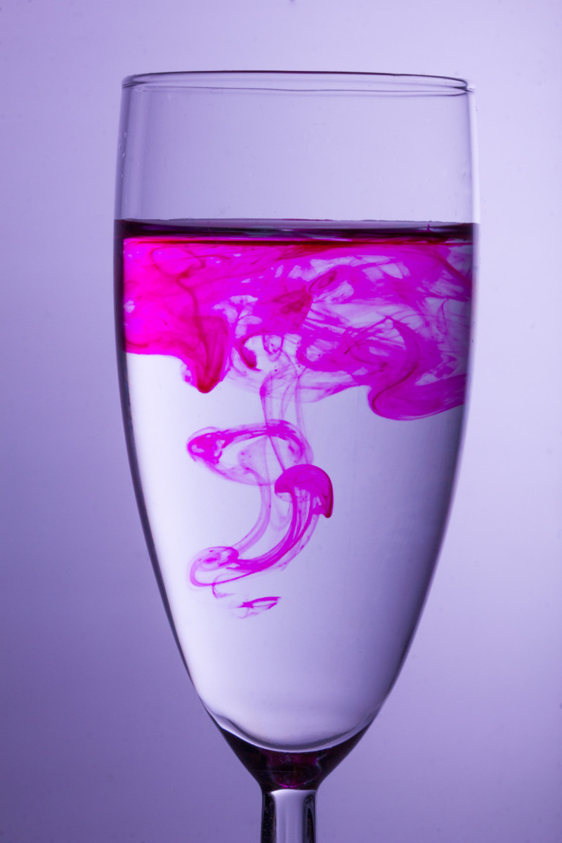 Sigma 105mm F2.8 EX DG OS HSM sample photo. Colors pink 1 photography