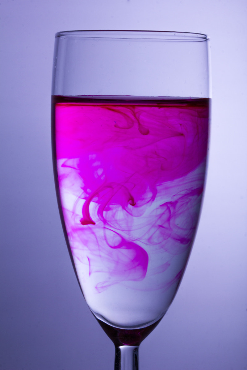 Sigma 105mm F2.8 EX DG OS HSM sample photo. Colors pink 2 photography