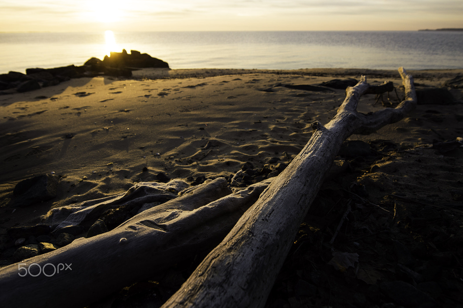 Nikon AF-S Nikkor 14-24mm F2.8G ED sample photo. Driftwood photography