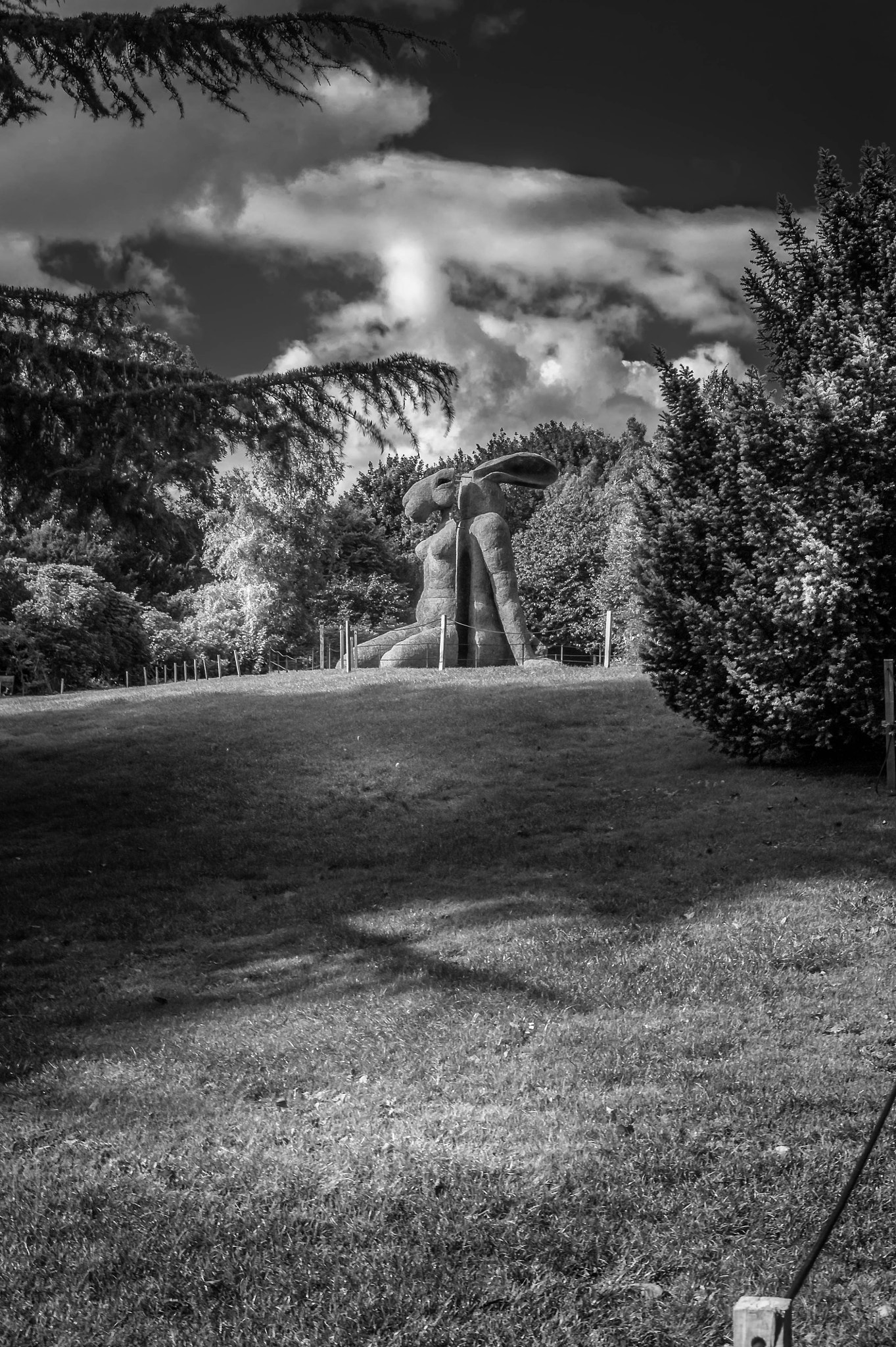 AF Zoom-Nikkor 24-50mm f/3.3-4.5D sample photo. Sitting by sophie ryder photography