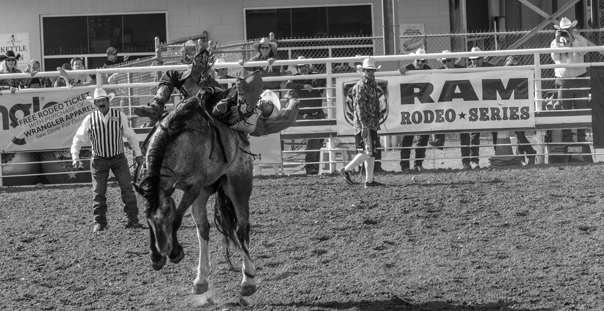 Sony a7 + Sony E 55-210mm F4.5-6.3 OSS sample photo. Rodeo horse photography