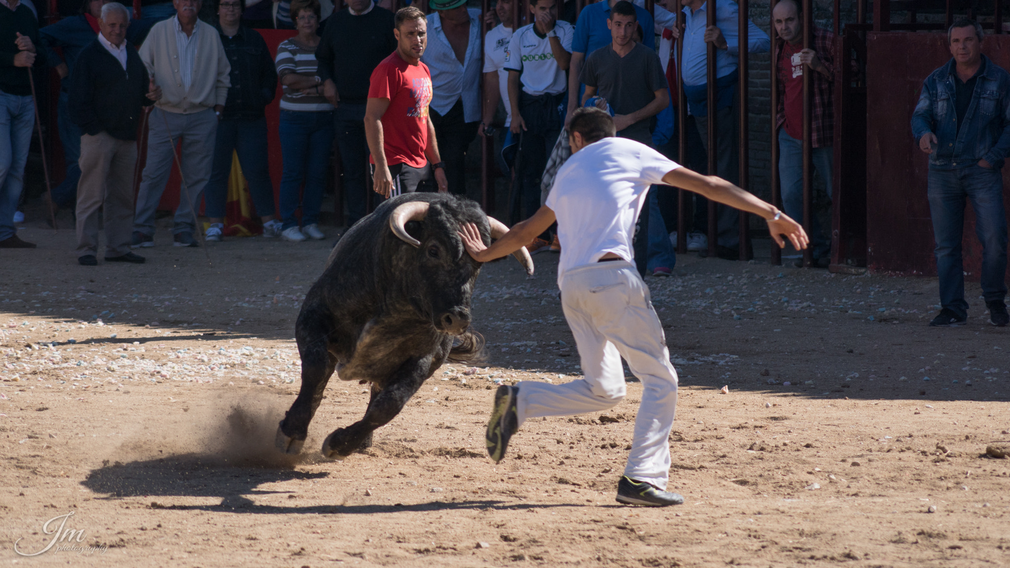 Sony DT 55-200mm F4-5.6 SAM sample photo. Bullfighting cuts photography