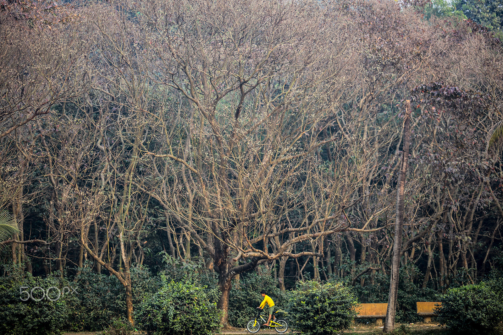 Canon EOS 5DS sample photo. Nature photography