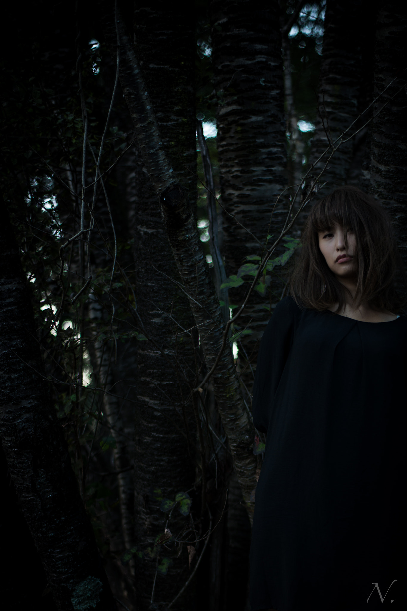 ZEISS Planar T* 50mm F1.4 sample photo. Deep forest photography