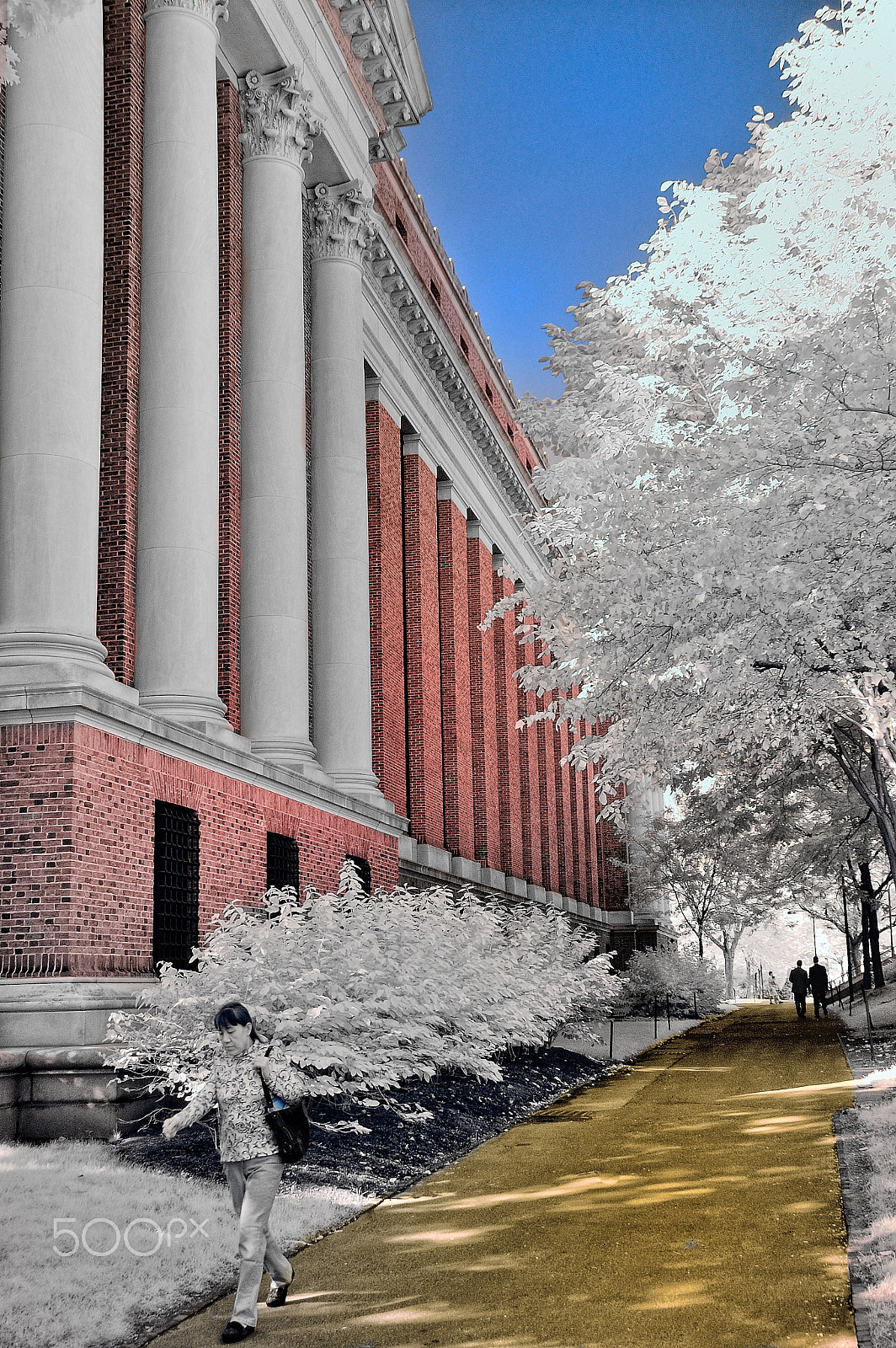 Nikon D70s sample photo. Widener library, ir photography