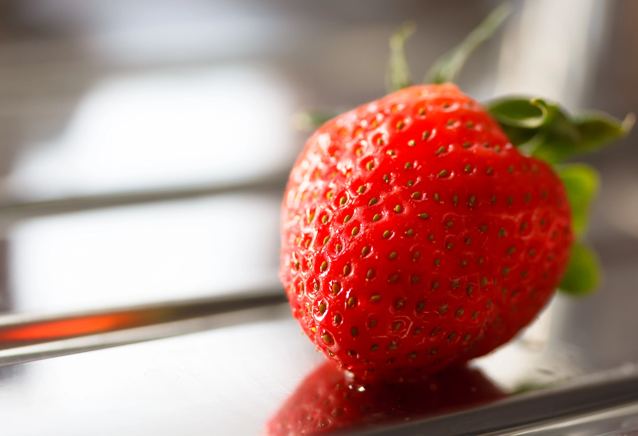 Canon EF-S 60mm F2.8 Macro USM sample photo. Erdbeere photography