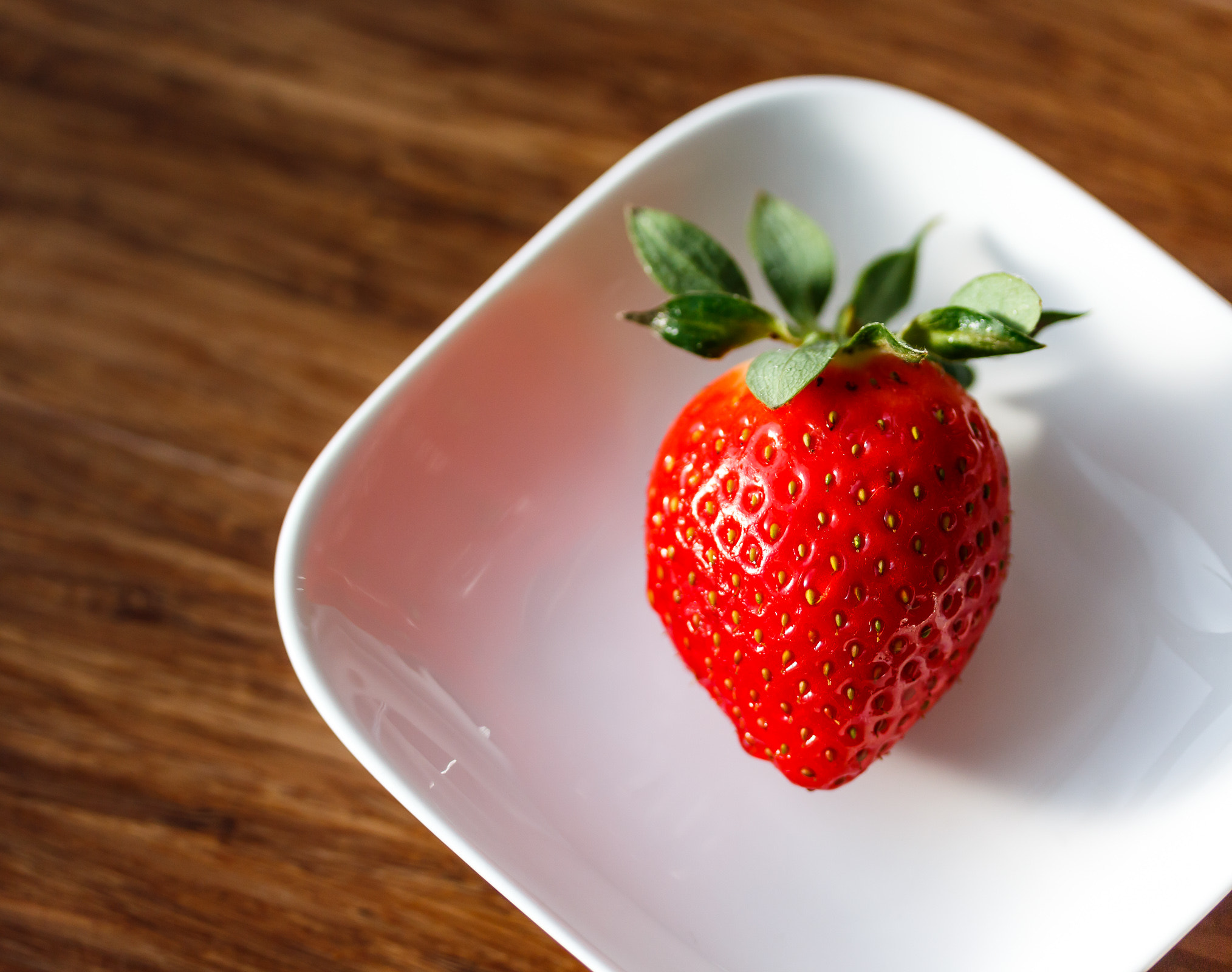 Canon EF-S 60mm F2.8 Macro USM sample photo. Erdbeere photography