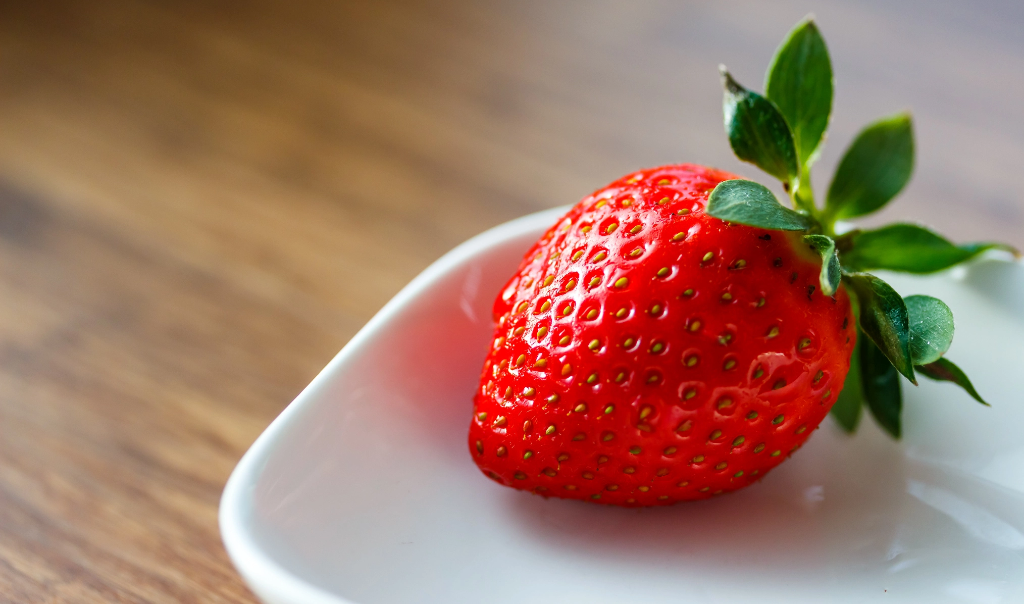 Canon EF-S 60mm F2.8 Macro USM sample photo. Erdbeere photography