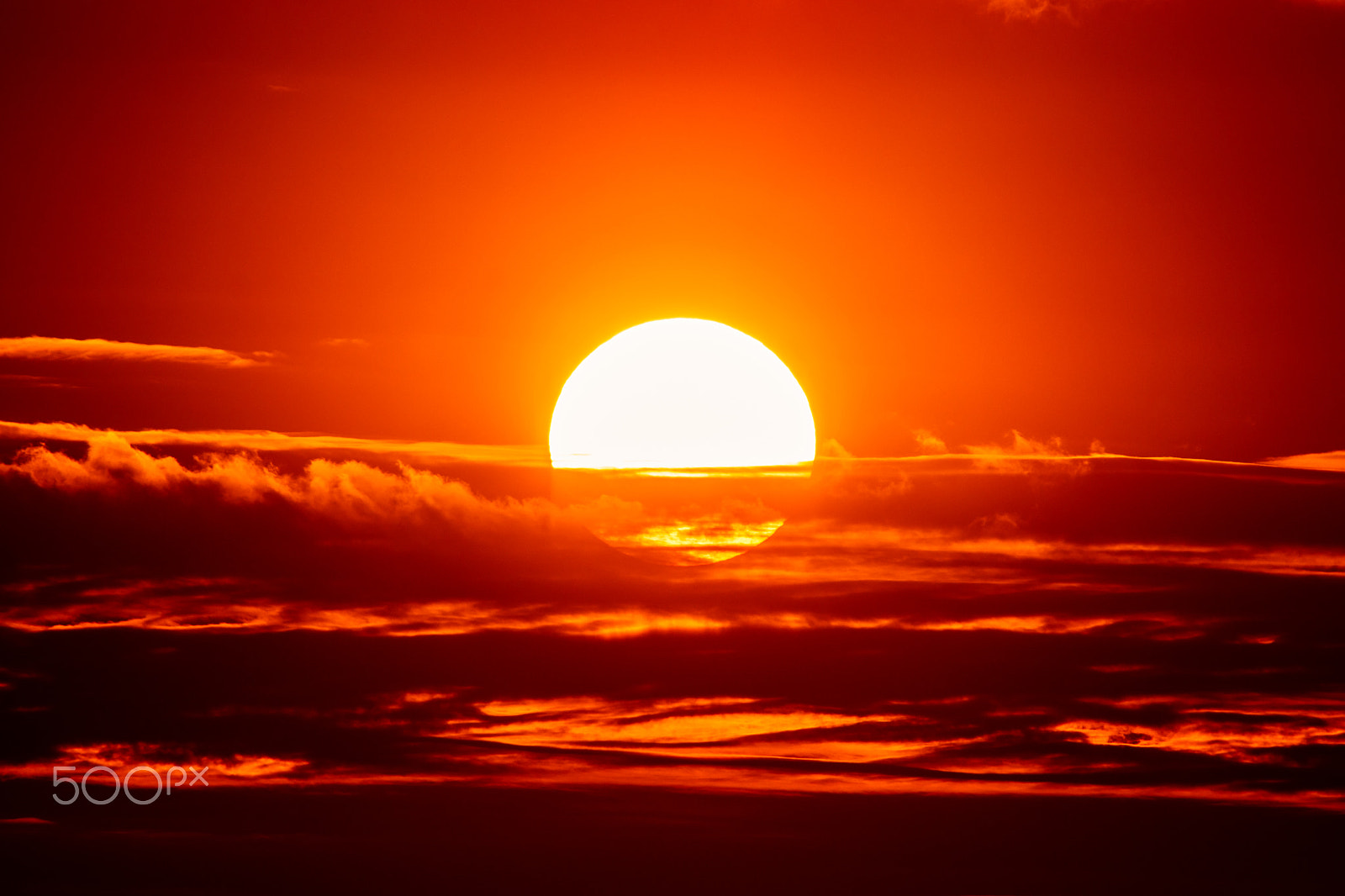 Sigma 150-500mm F5-6.3 DG OS HSM sample photo. The sunset photography