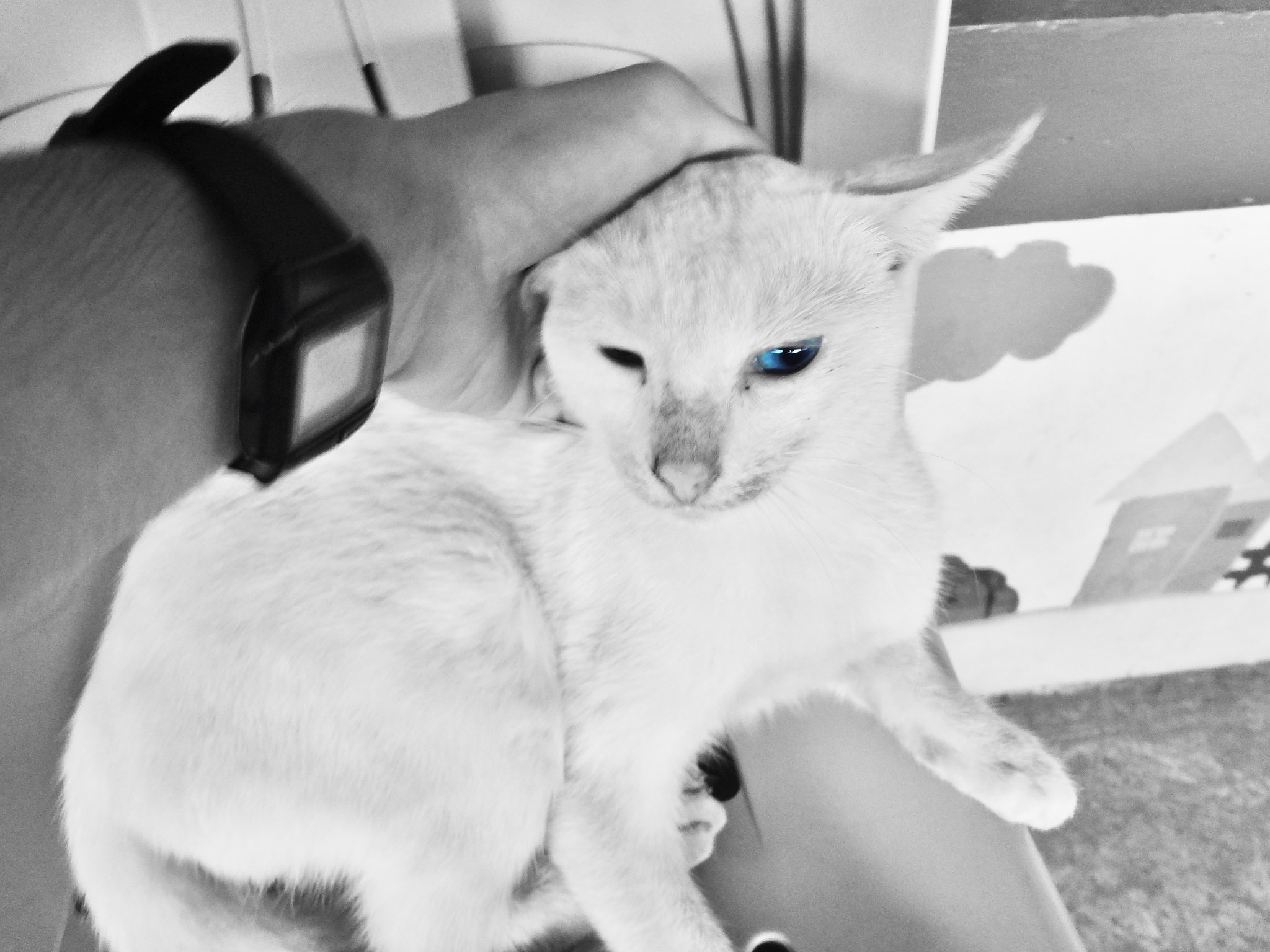 Sony DSC-WX9 sample photo. No, human. photography