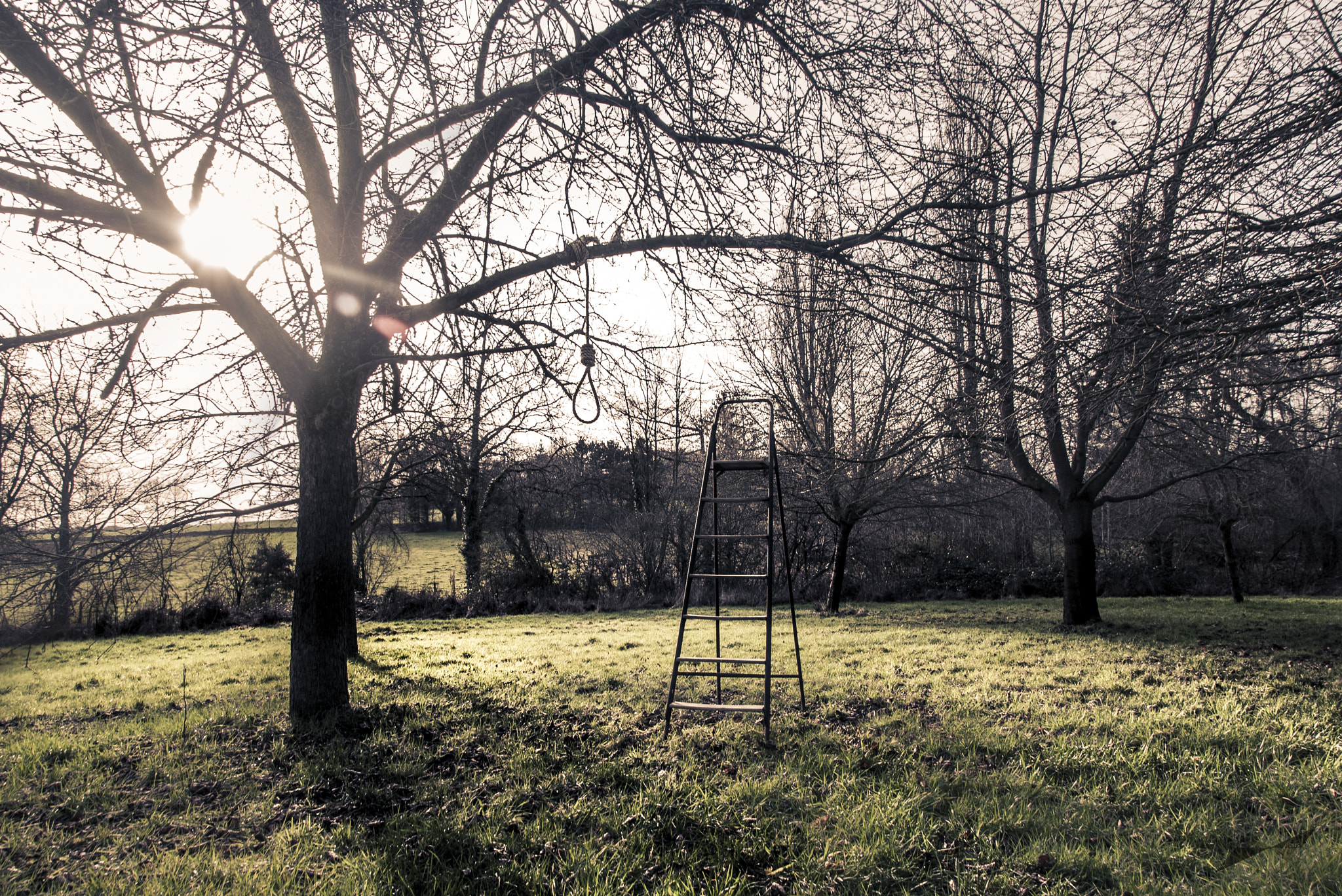 Sigma 17-50mm F2.8 EX DC OS HSM sample photo. End of a season photography