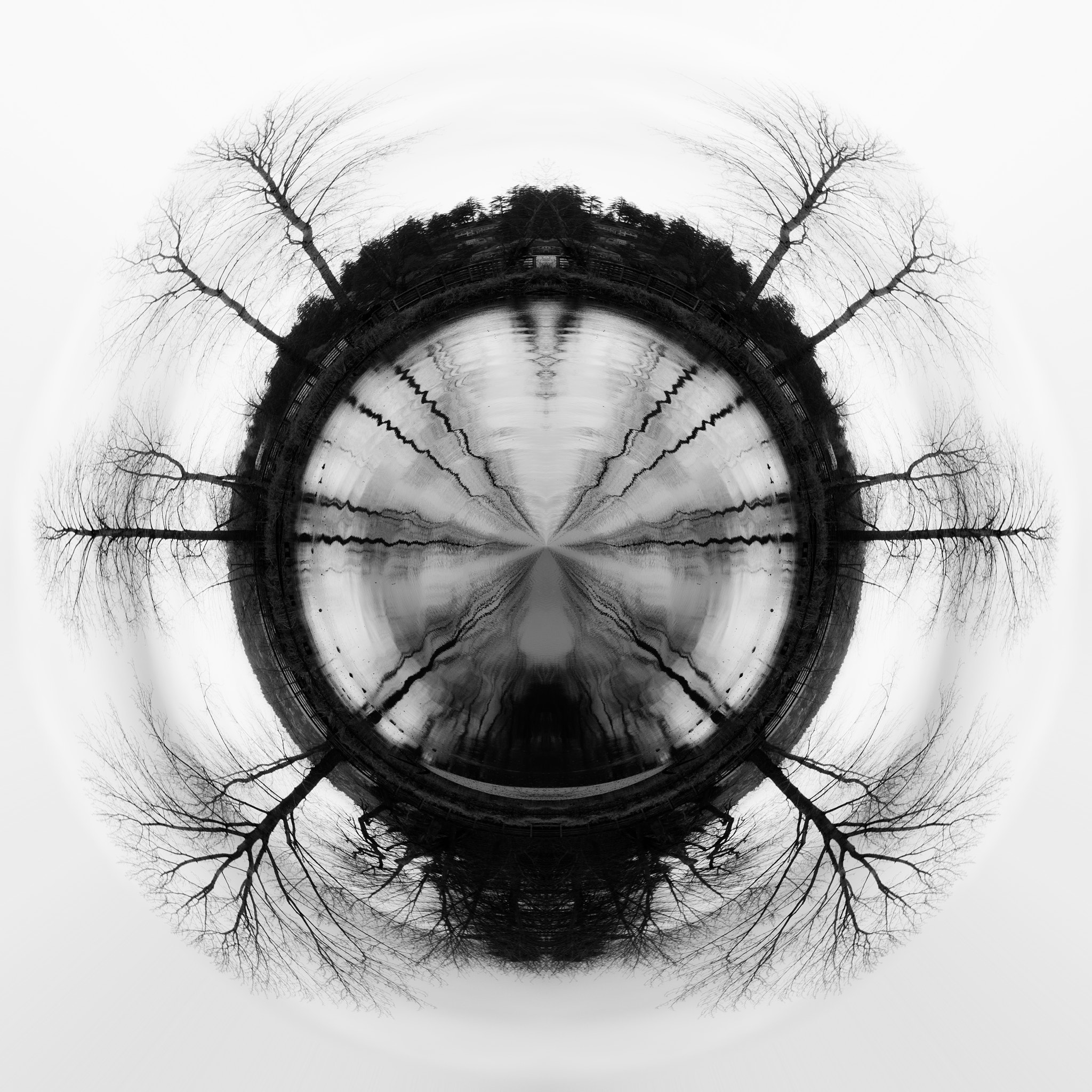 Panasonic Lumix G X Vario 35-100mm F2.8 OIS sample photo. Little planet trees and refelction photography