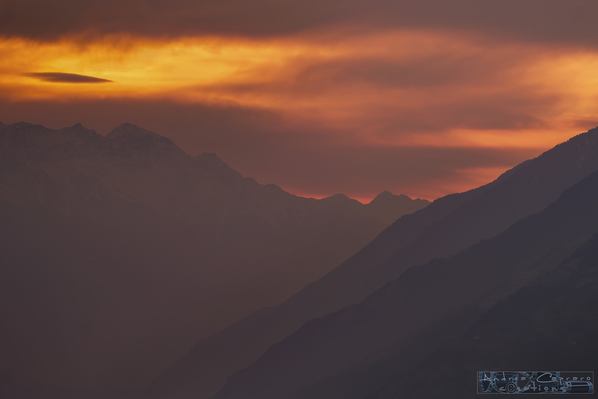 Sigma 150-600mm F5-6.3 DG OS HSM | C sample photo. Hot bias. photography