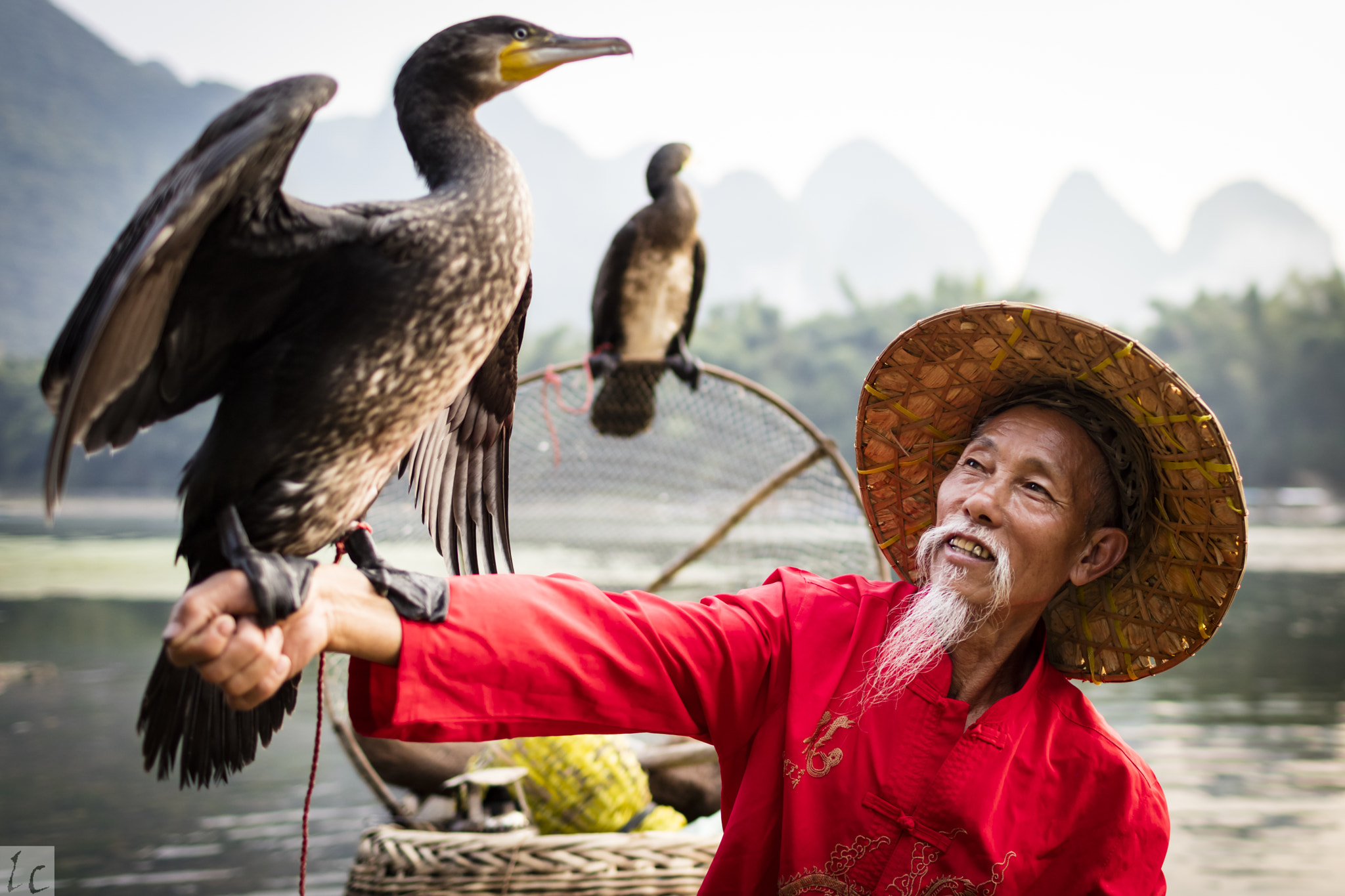 Canon EOS 5DS R + Canon EF 35mm F1.4L USM sample photo. Cormorant - arm stand photography