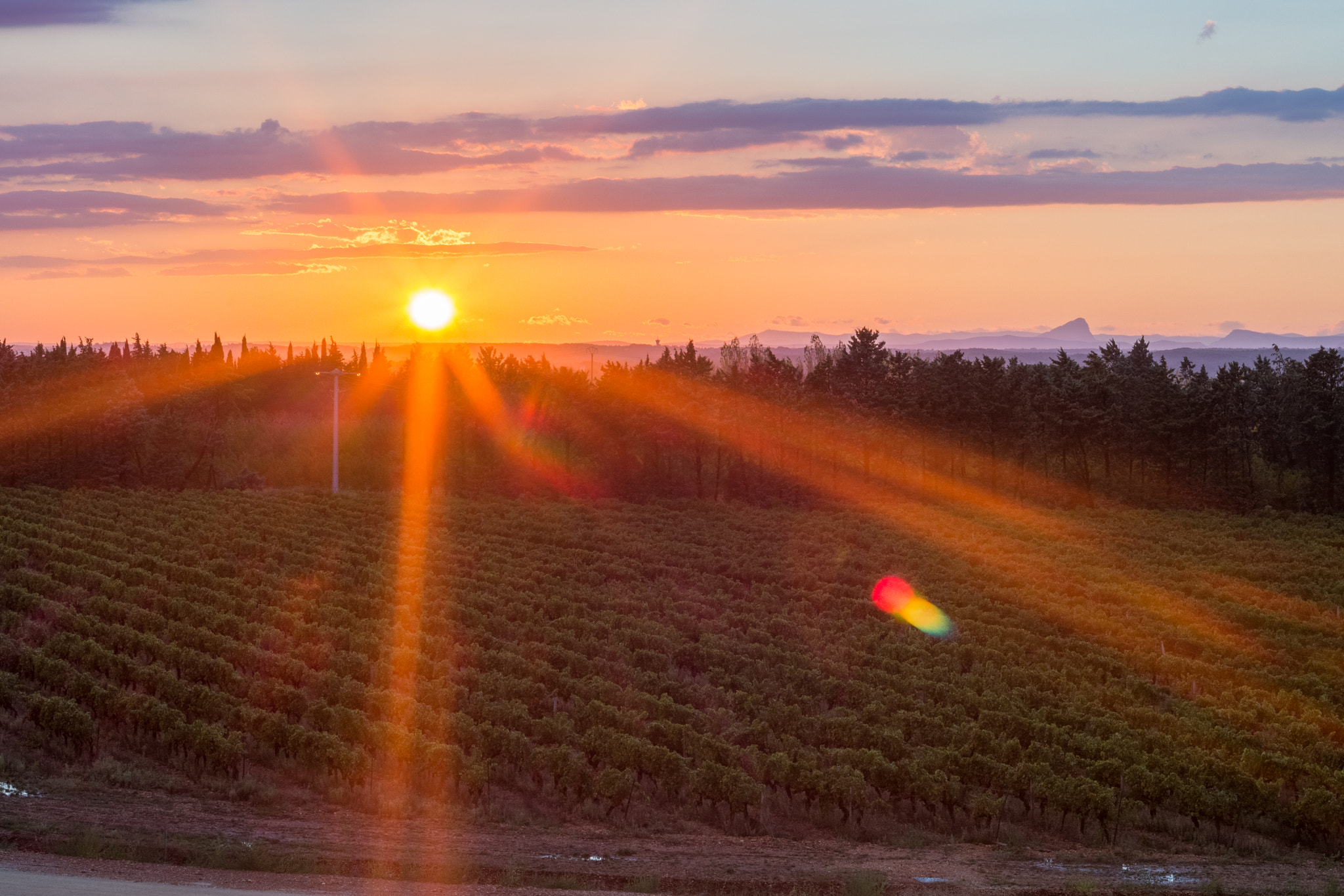 Canon EOS 100D (EOS Rebel SL1 / EOS Kiss X7) + Canon EF 50mm f/1.8 sample photo. Surreal sunset photography