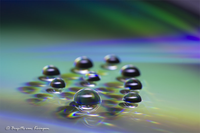 Canon EOS 60D + Canon EF 100mm F2.8 Macro USM sample photo. Reflections of the mind photography