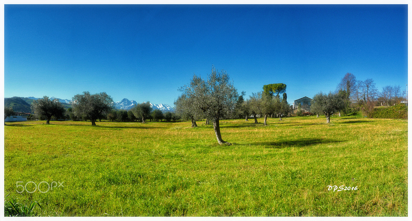 Panasonic DMC-FX100 sample photo. ...green and blue photography