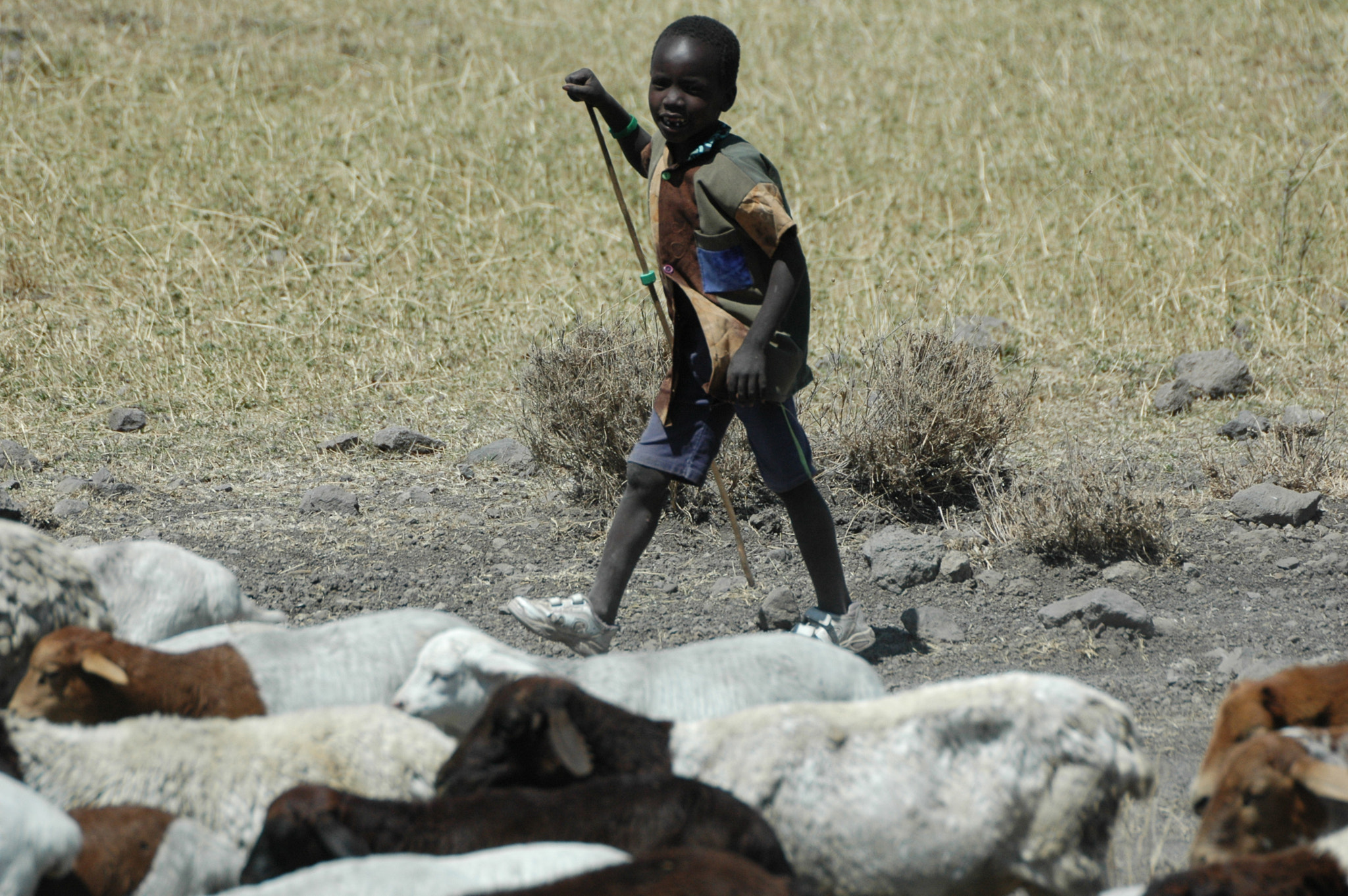 Nikon D70 + Sigma APO 170-500mm F5-6.3 Aspherical RF sample photo. Kenya 2008 photography