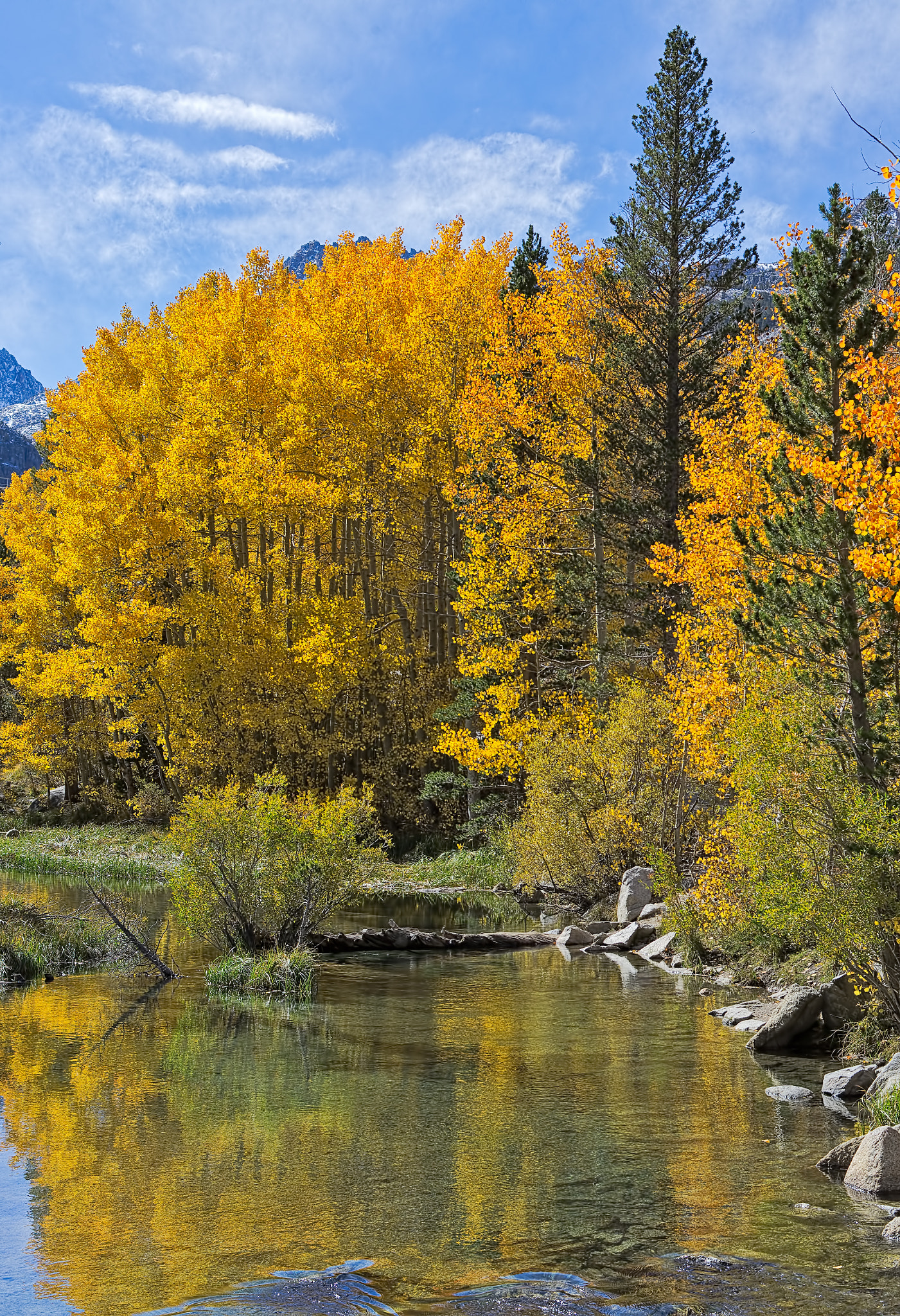 Pentax K-5 + Pentax smc DA 40mm F2.8 Limited sample photo. Fall, bishop creek photography