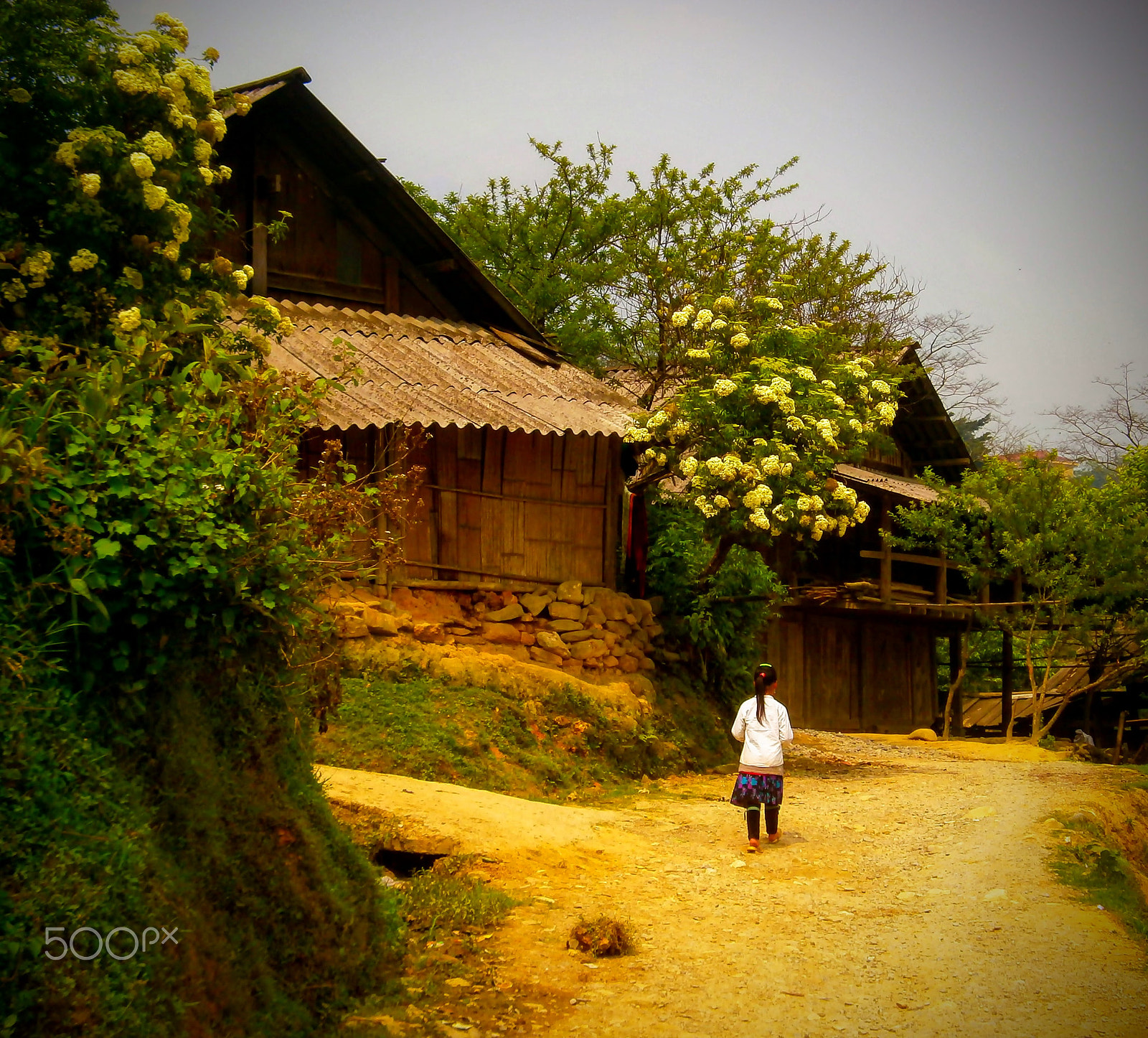 Olympus VG150,D735 sample photo. Girl on a dirt path photography